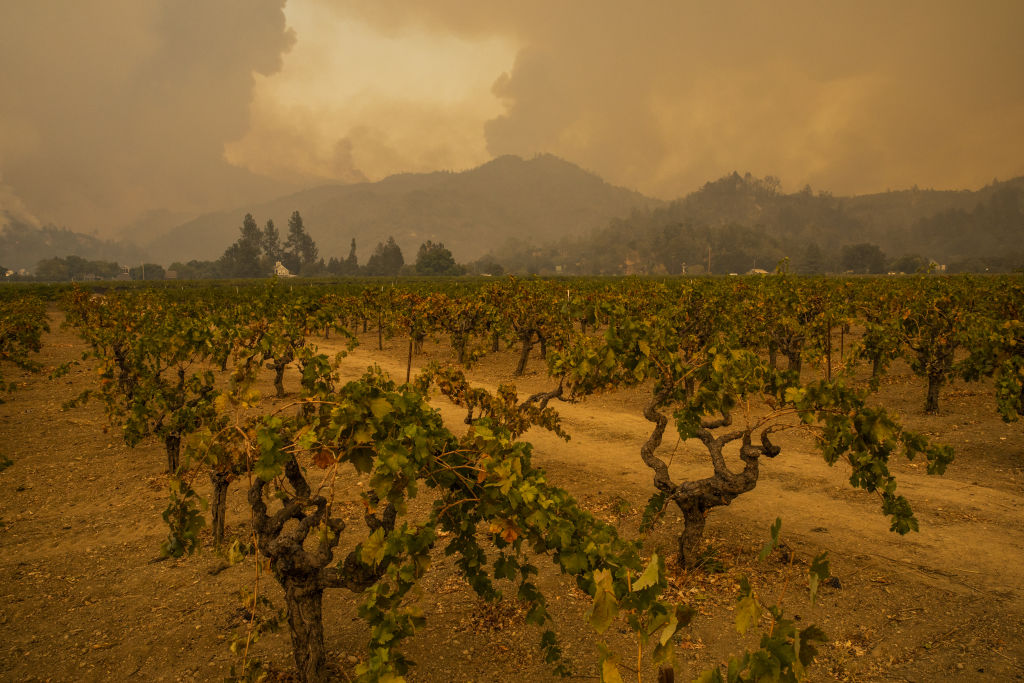 Wildfire ripping through California wine country expands as thousands flee