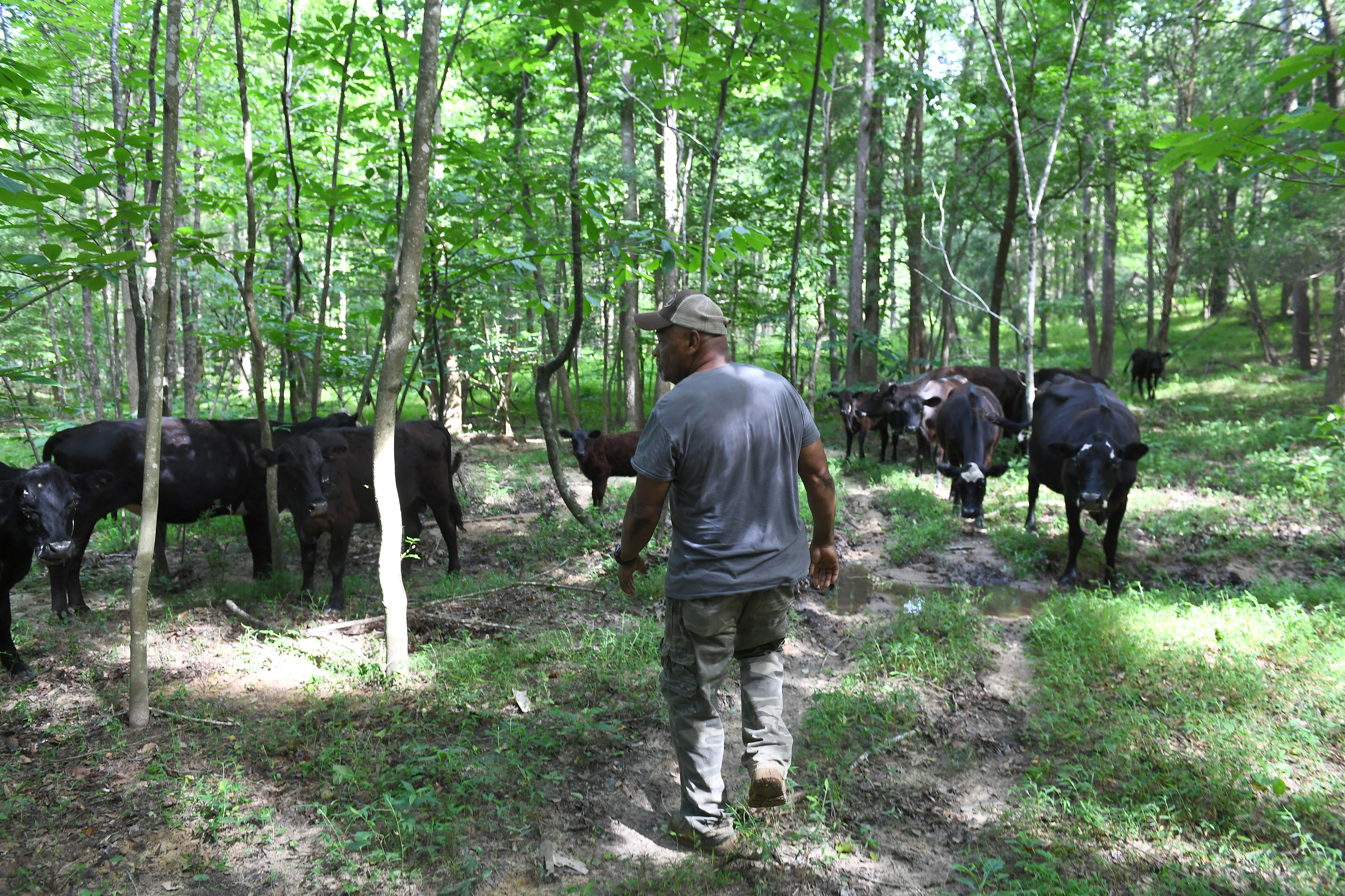 black farmer on farm