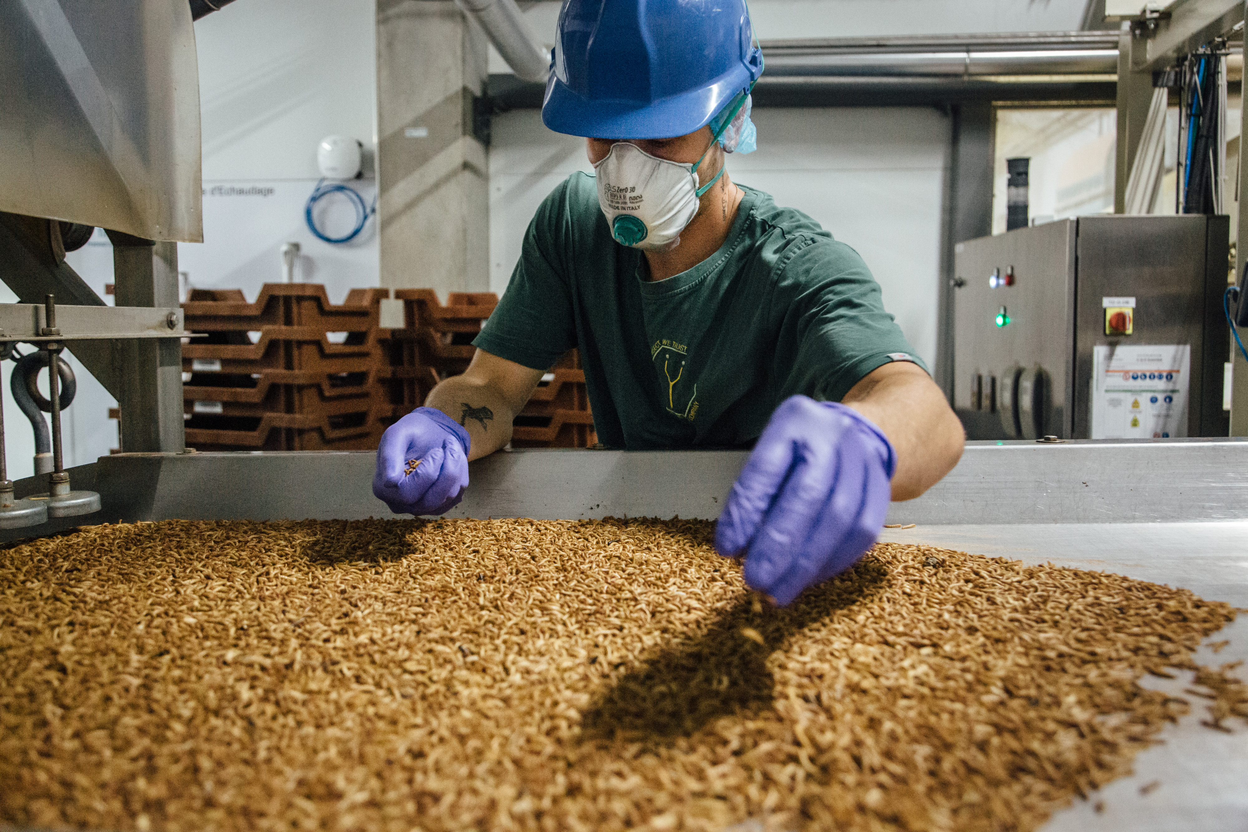 An employee loads larvae into a sorting oven inside the Ynsect insect farm in Dole, France, on Tuesday, May 19, 2020. A year before the Covid-19 pandemic caused havoc in the worlds food supply, venture capitalists plunged $125 million into mealworm breeding company Ynsect. Photographer: Cyril Marcilhacy/Bloomberg via Getty Images