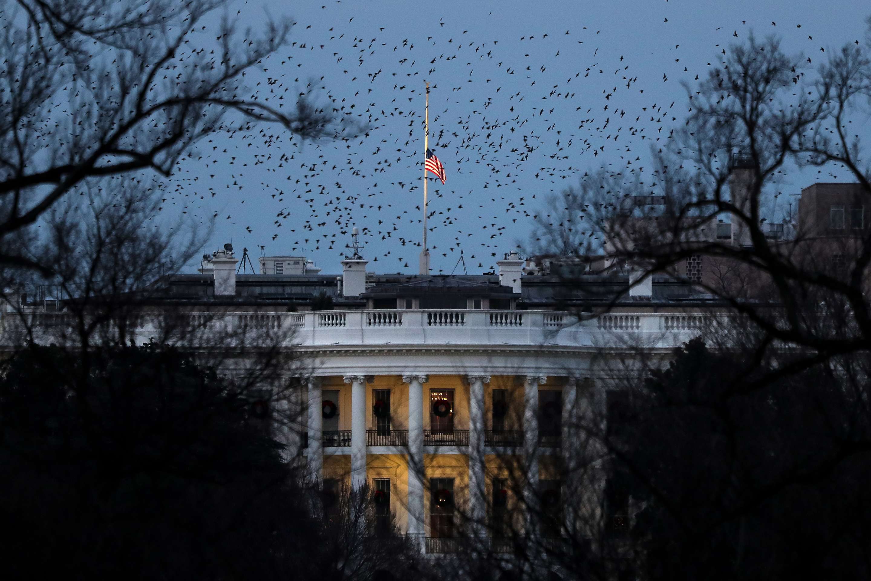 Vacant White House