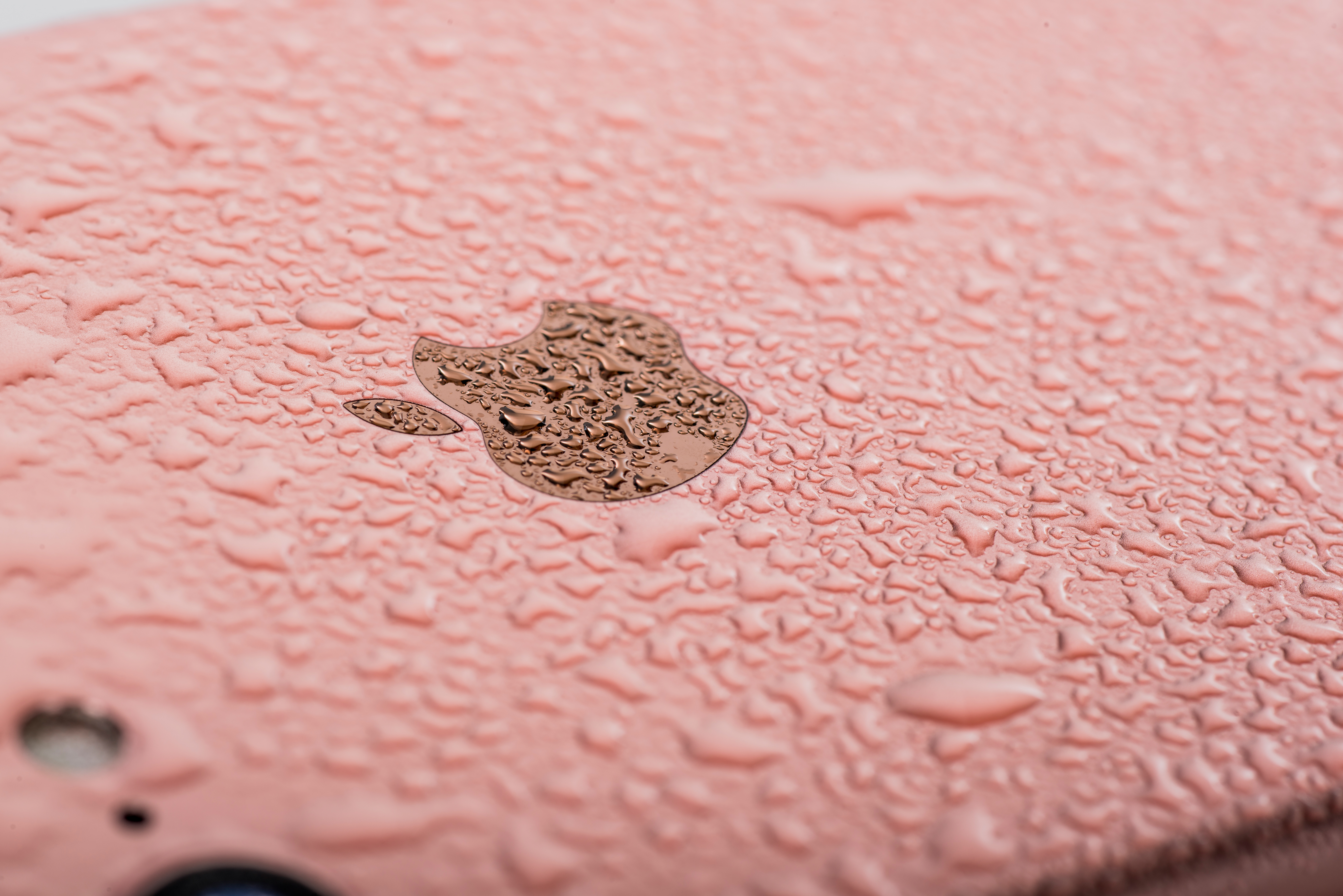 Detail of a 2016 Apple iPhone 7 smartphone with a Rose Gold finish beaded with moisture, taken on September 22, 2016.