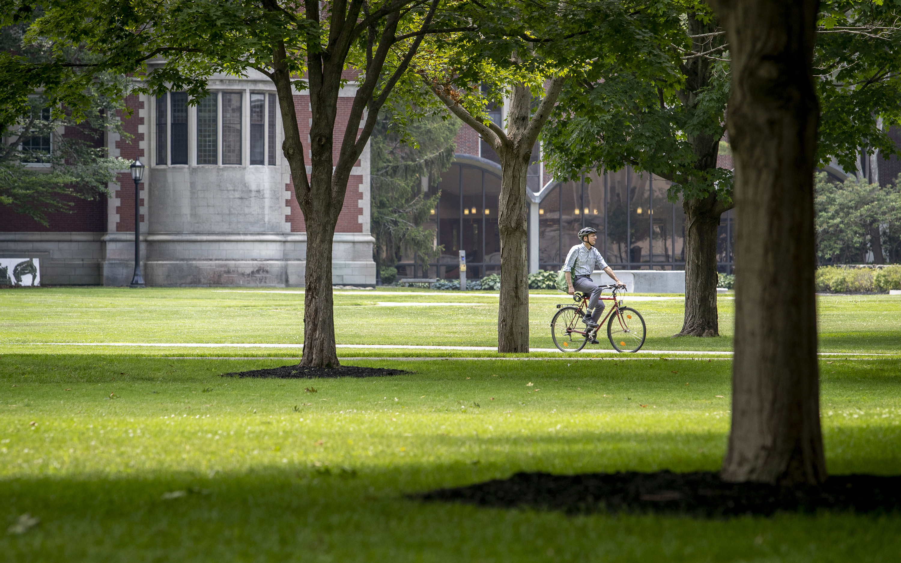 Bowdoin bicyclist