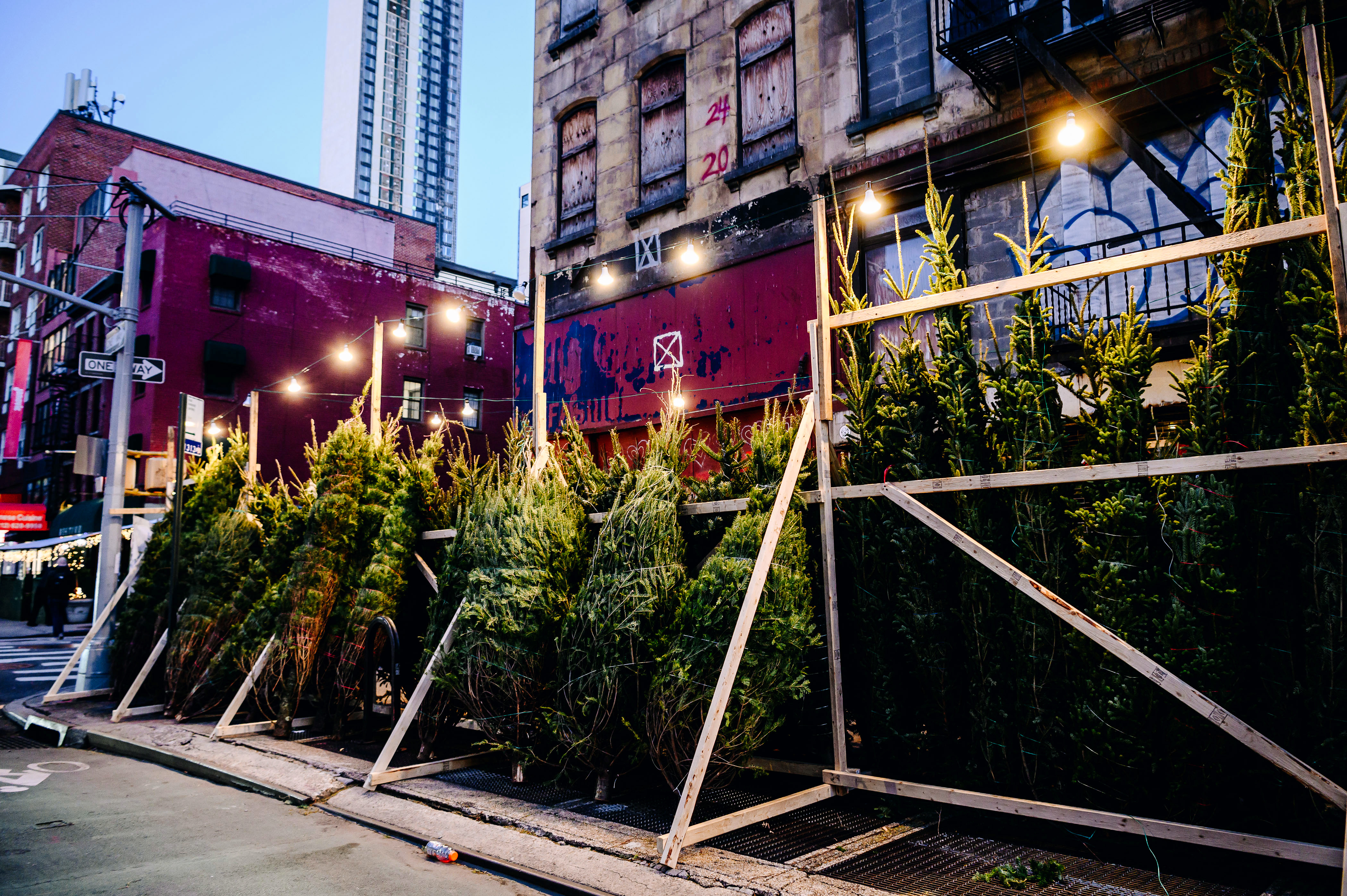 New York City’s resilience, the authors write, “is exemplified in a Christmas tree subculture that is as much a part of holidays in New York as adorned shop windows on Fifth Avenue.”