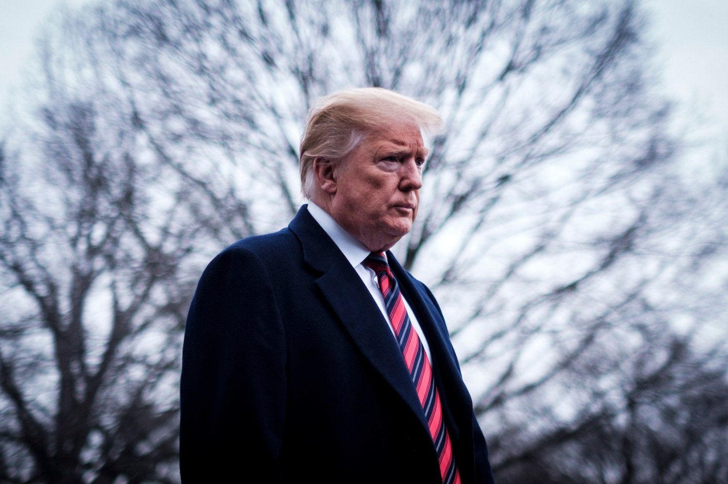 TikTok banned Trump before Trump could ban TikTok