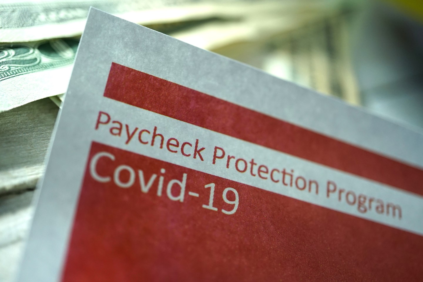 How venture capital-backed startups that got PPP funding fared after the pandemic