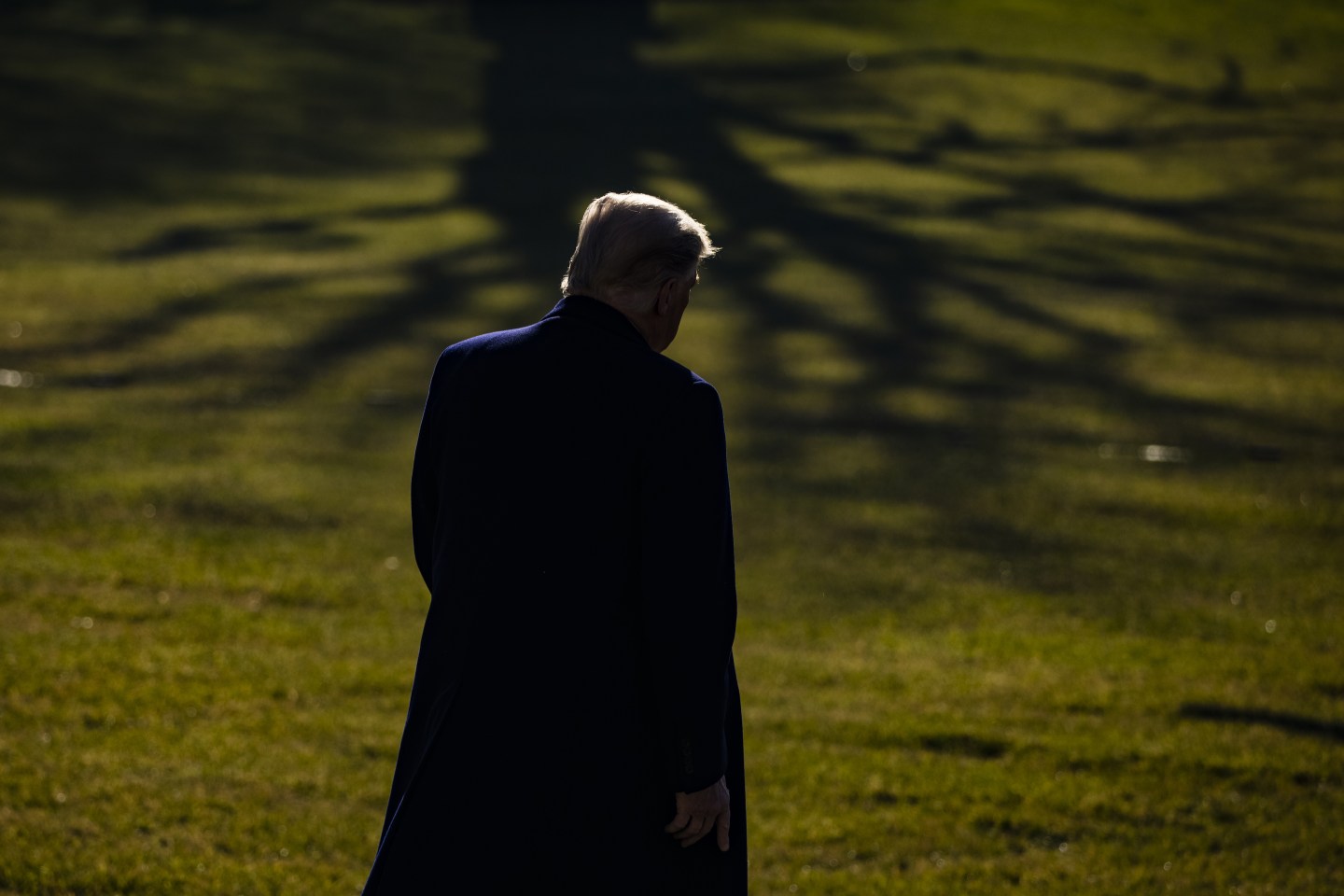 Professional Bank joins lenders refusing to do business with the Trump Organization