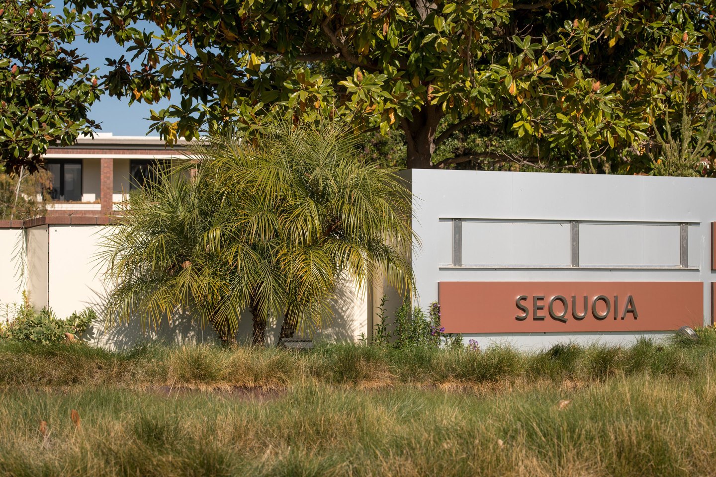 The careful distinction Sequoia Capital makes in its Black Swan follow-up