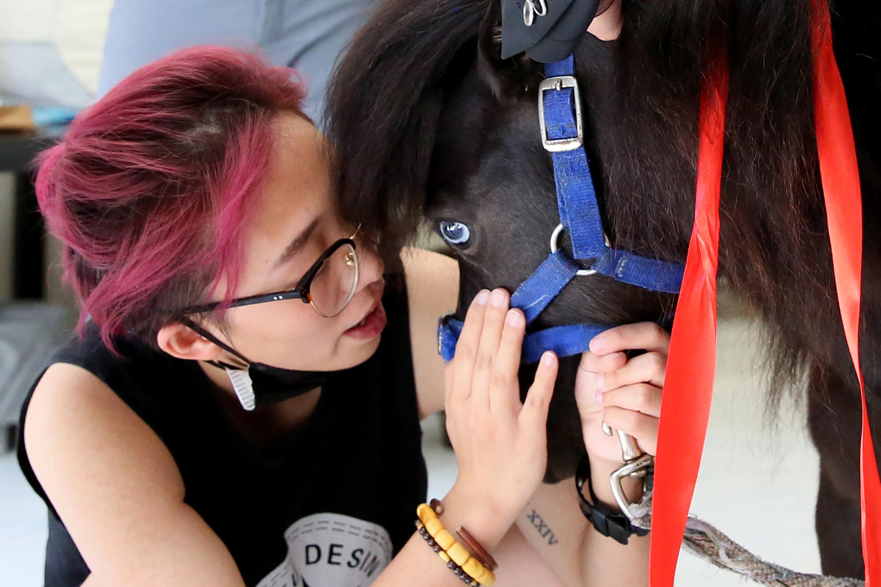 The Transportation Department has made its final ruling: no more emotional support miniature horses on flights.