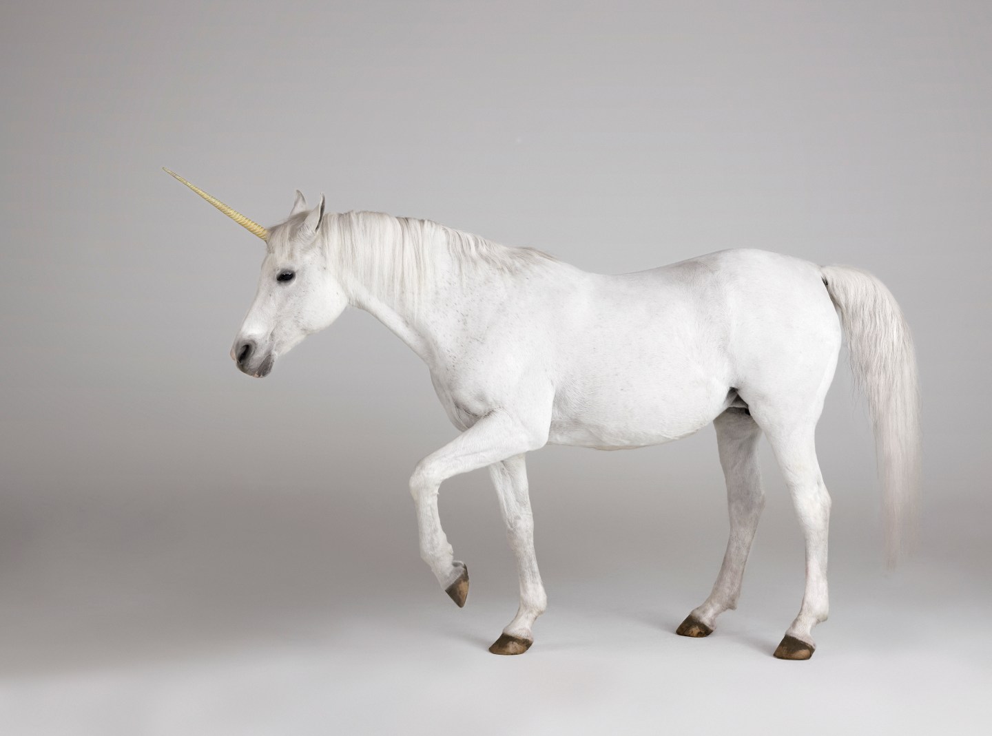 These 5 companies are now the highest-valued U.S. unicorns in 2021