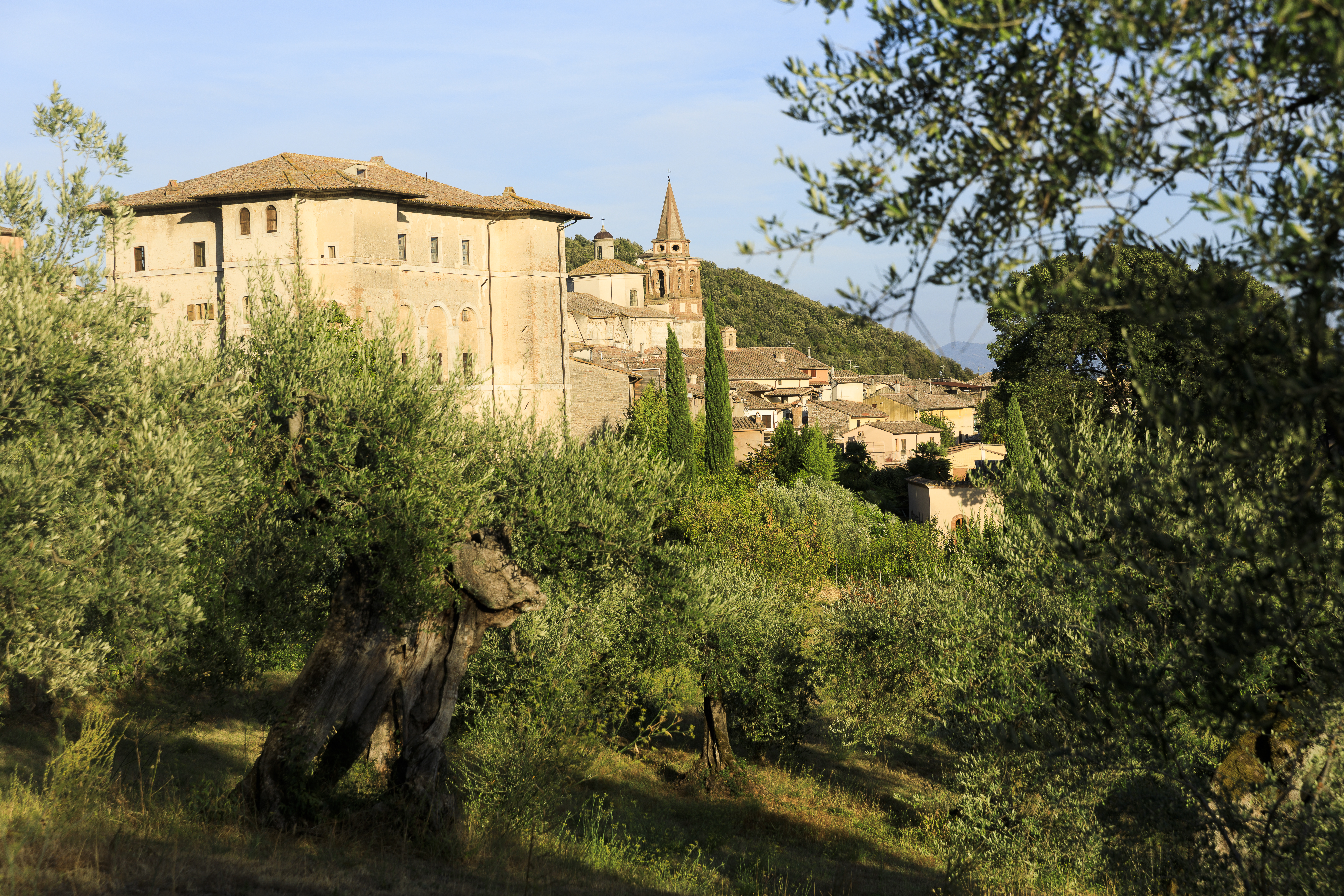Italian countryside