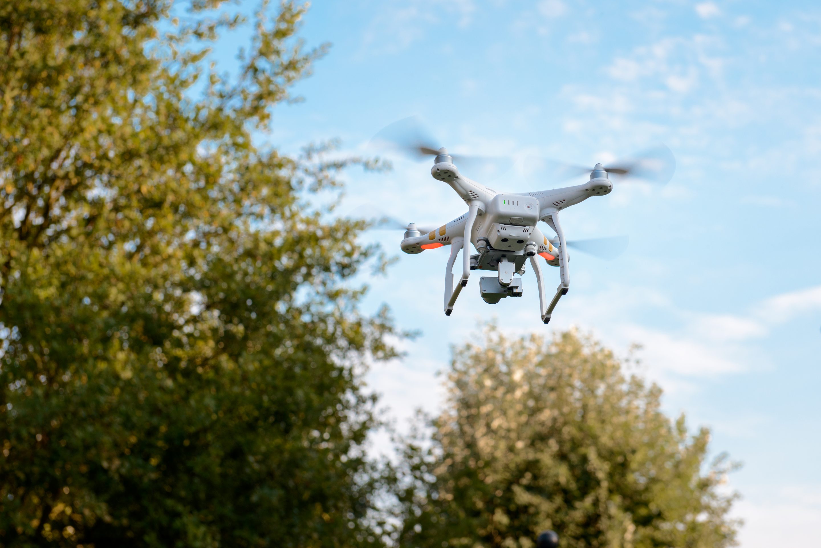 drone over forest