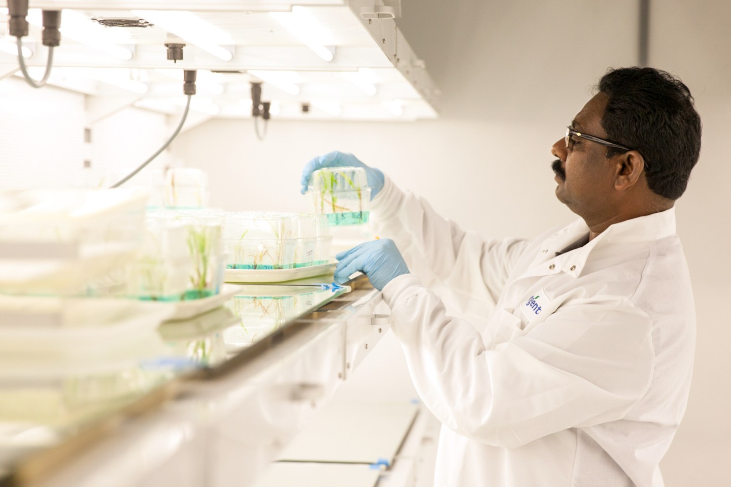 Syngenta-R&D