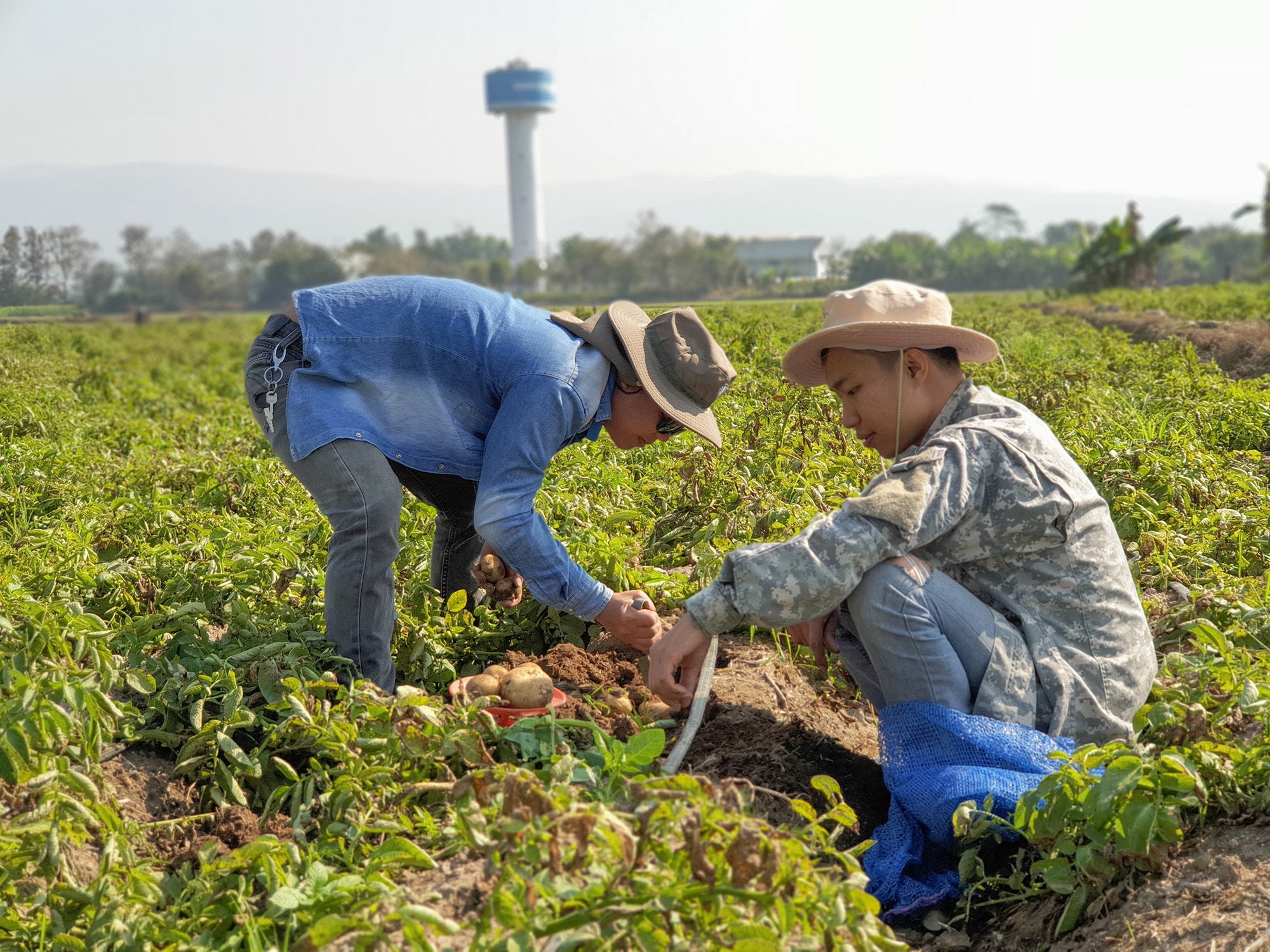 PepsiCo is pushing to expand regenerative agriculture practices to 7 million acres.
