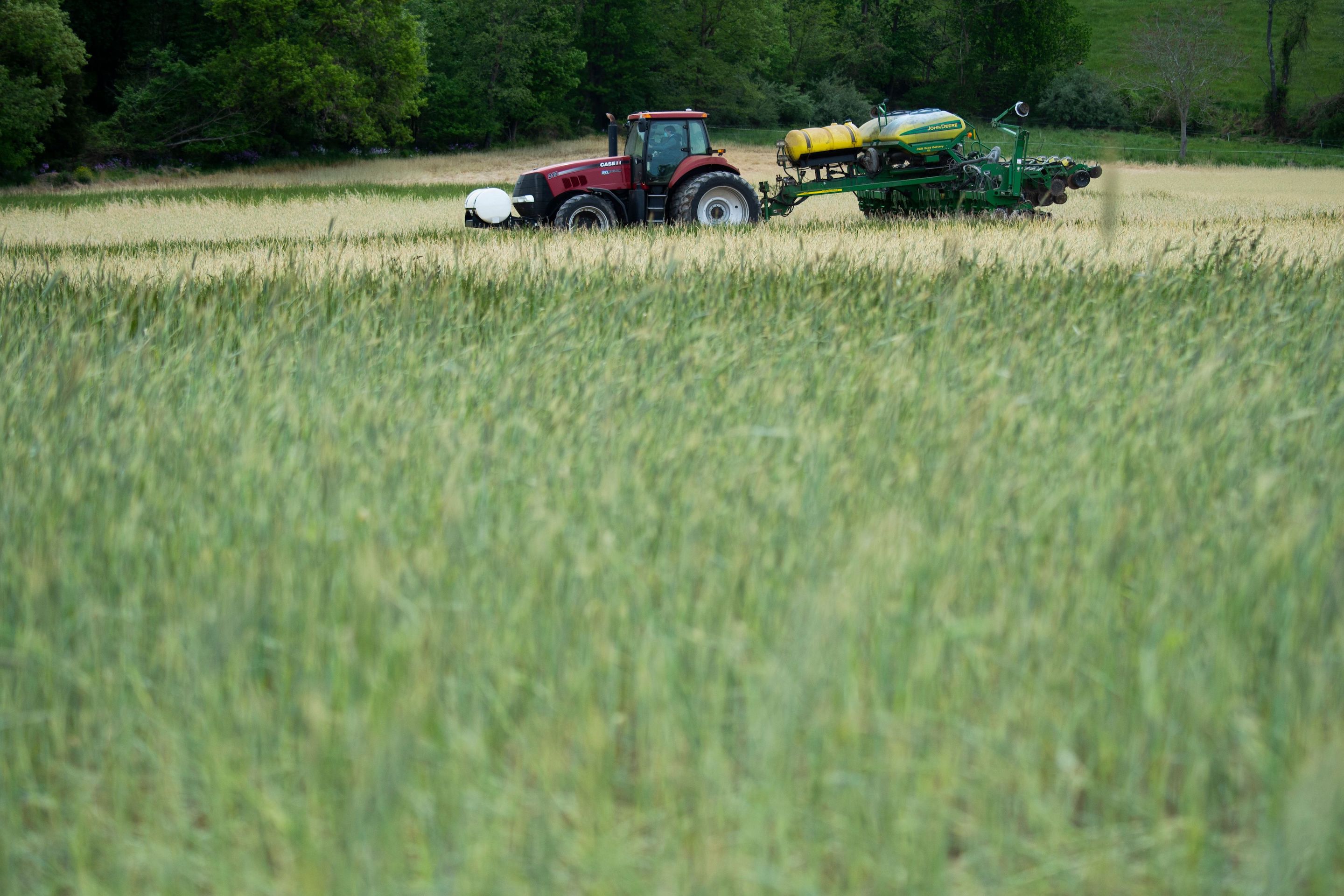 China is expected to import 28 million tons from all countries in the 2020-2021 season according to the USDA.