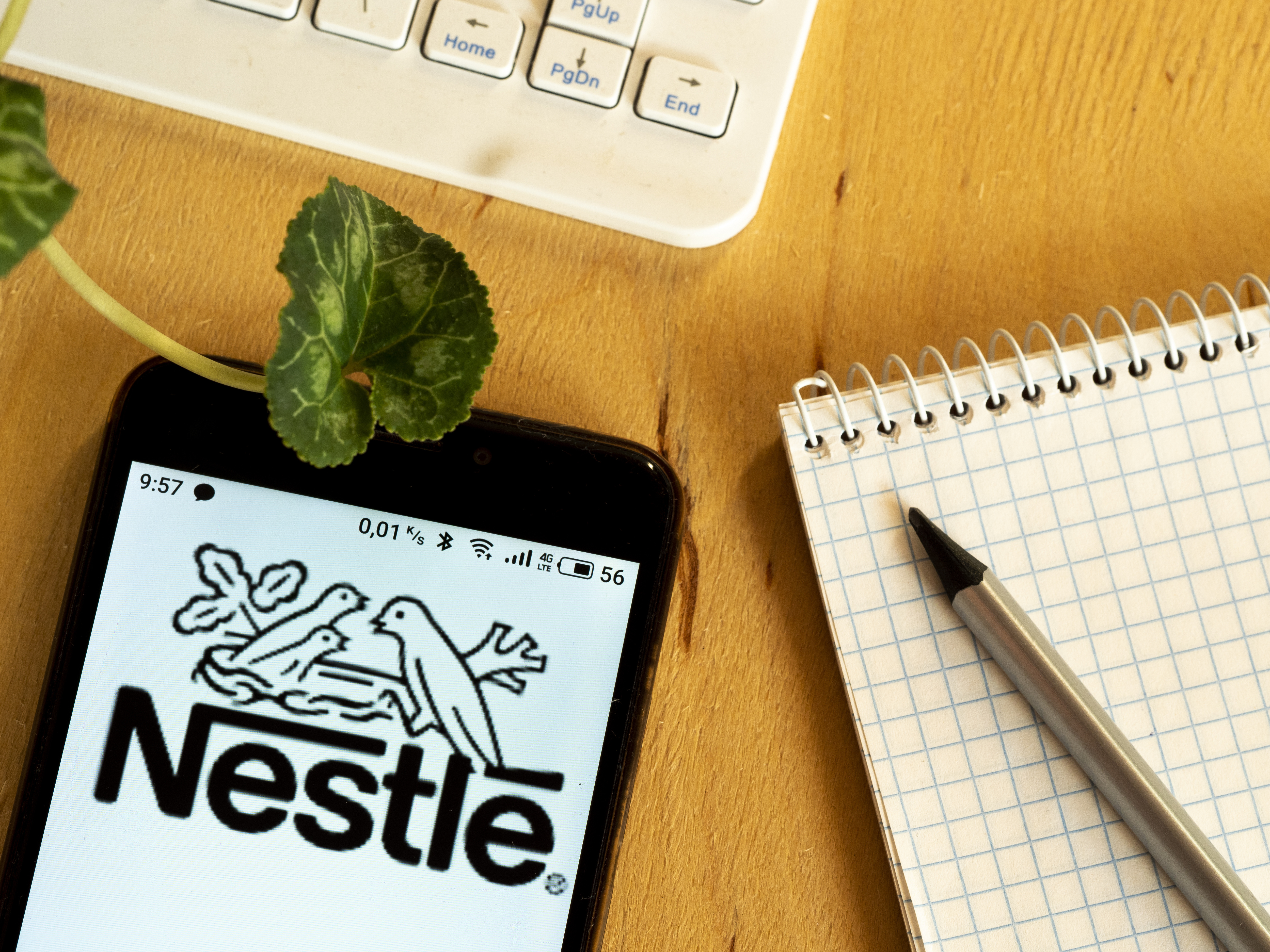 Nestle logo displayed on smartphone.