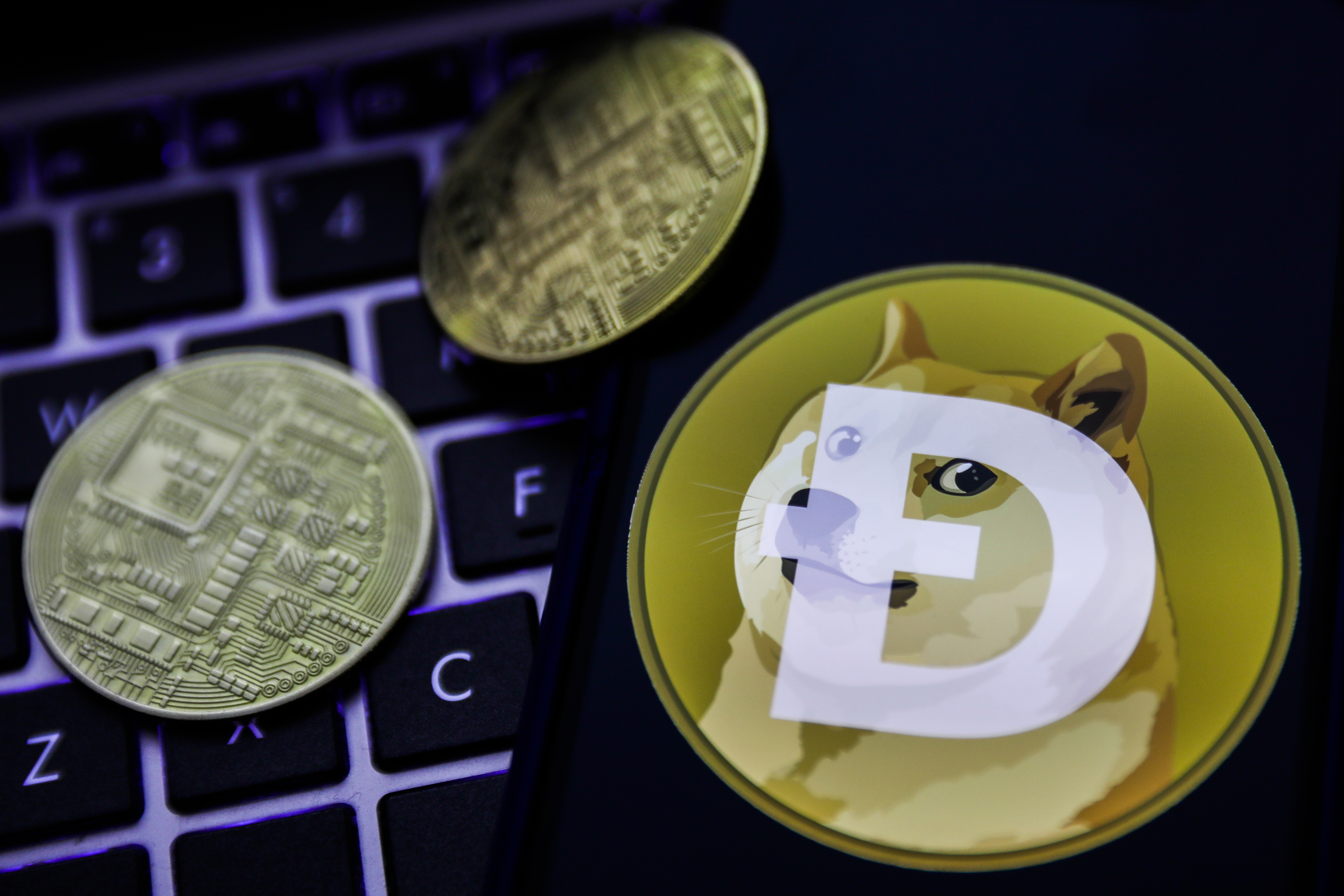 Dogecoin: Doge Day April 20th
