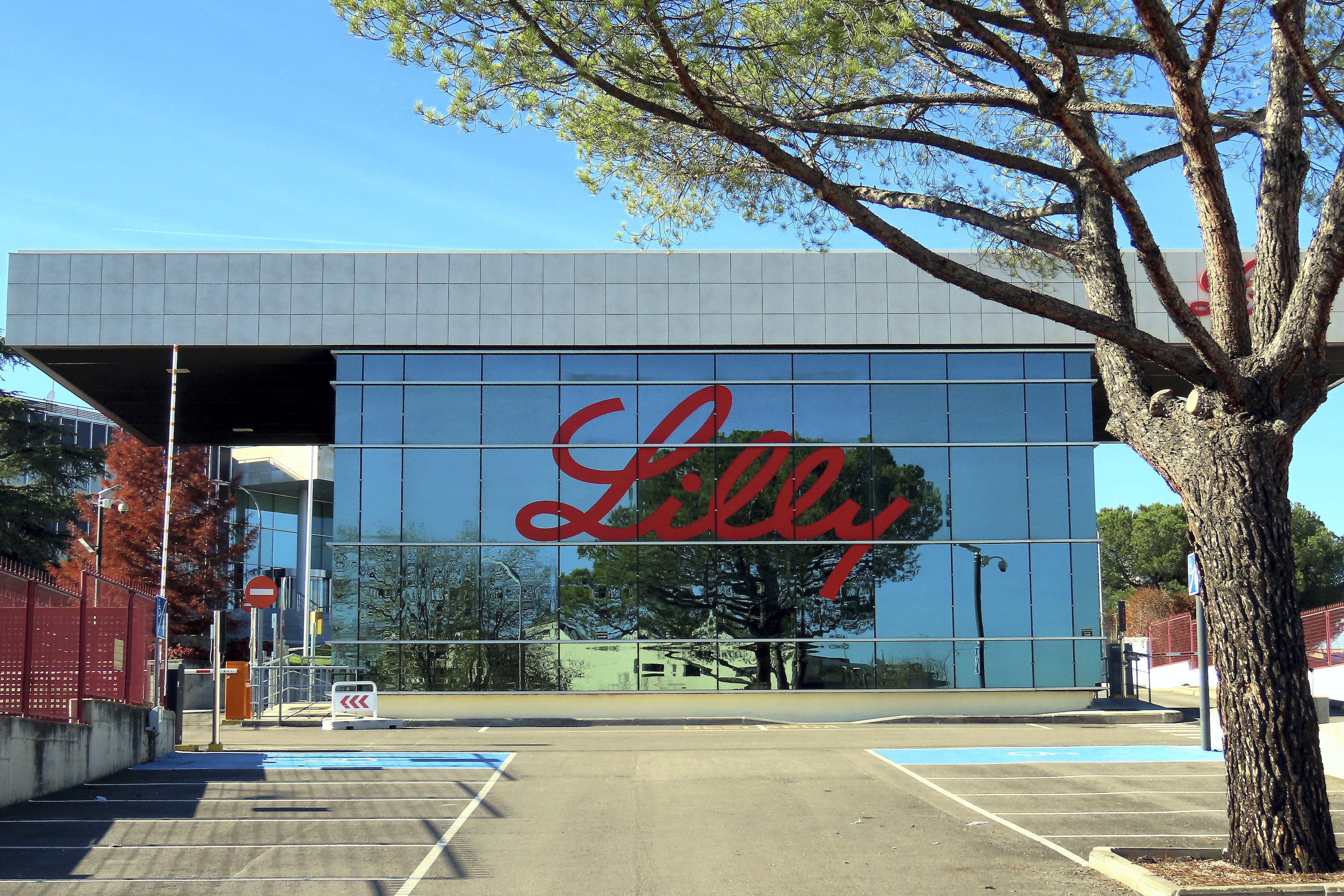 Eli Lilly has claimed the top spot on the IDEA Pharma Innovation Index for 2021. Its four-spot rise is due mainly to a plethora of positive clinical results and notable regulatory wins, accompanied by a solid financial performance.