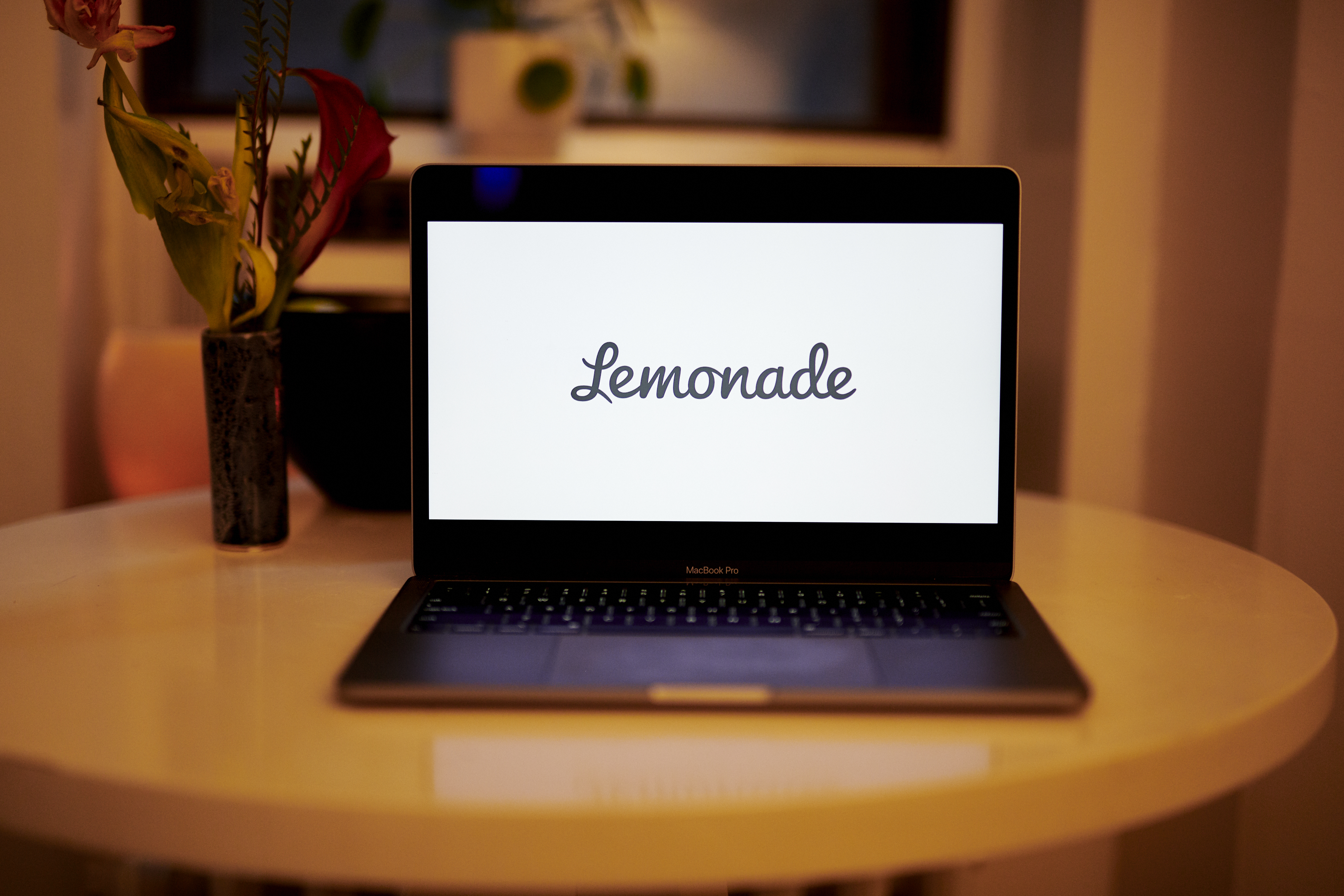 Insurance company Lemonade faces a wave of criticism.