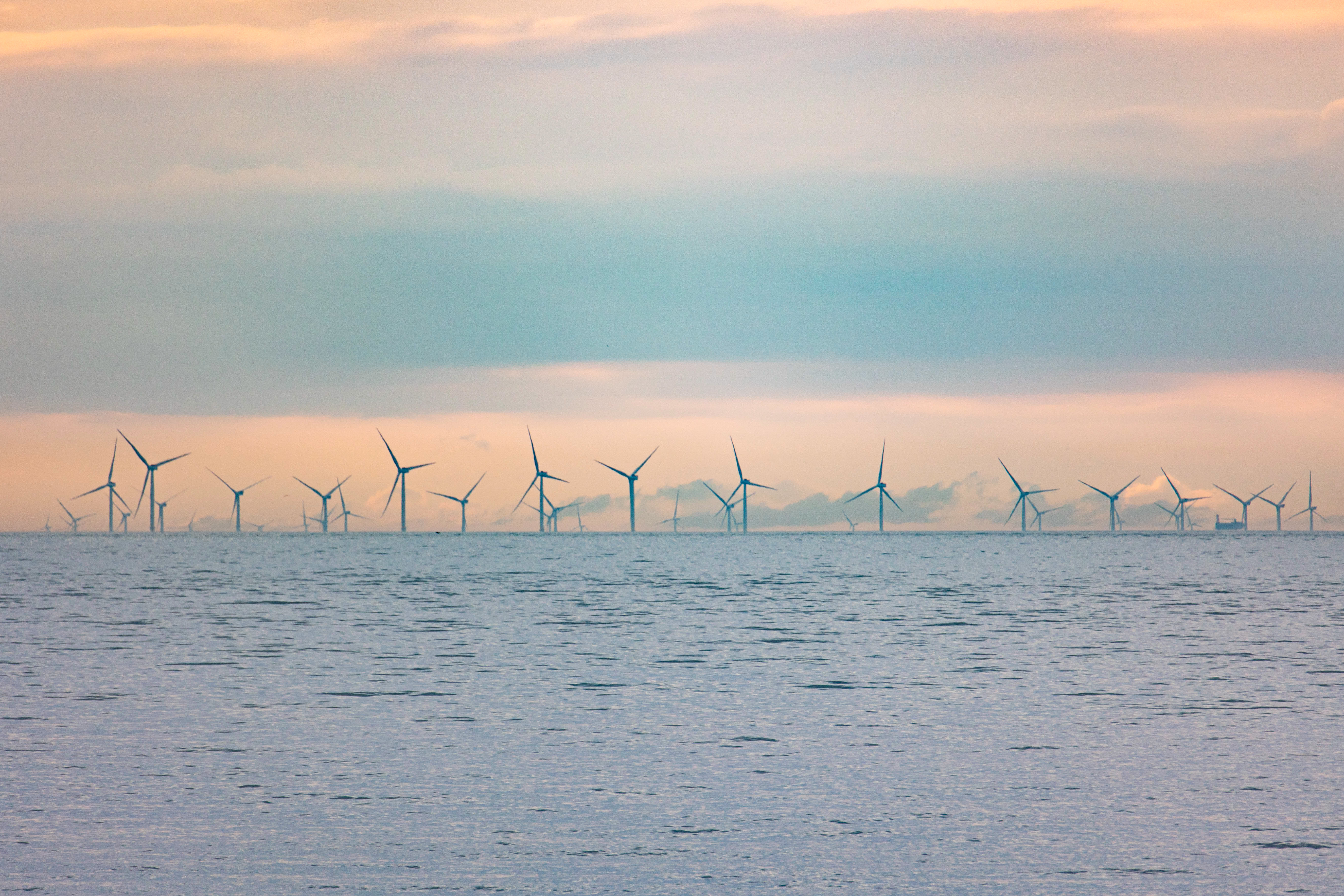An offshore wind farm in the Netherlands.