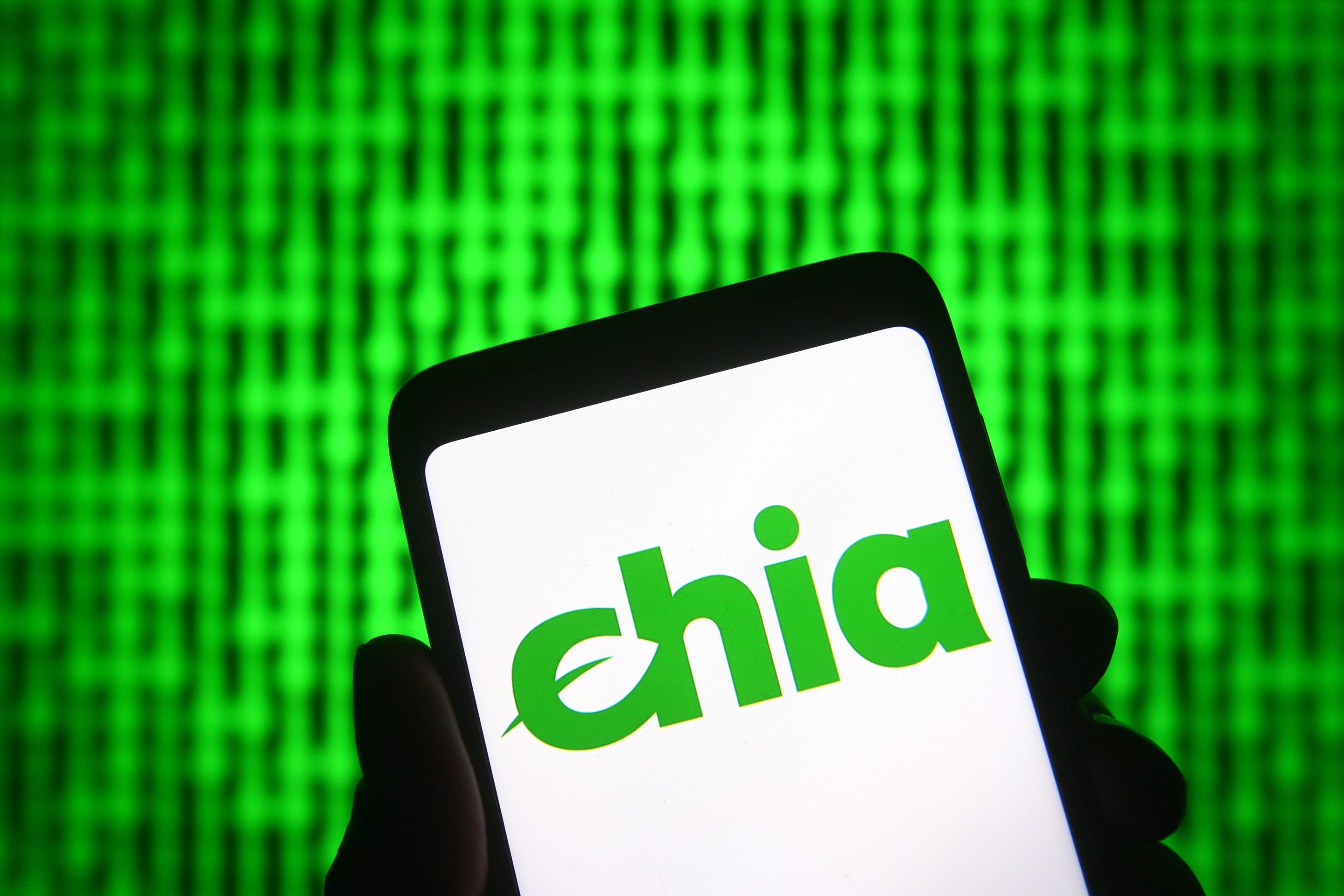 Chia, a blockchain network that claims to be more eco-friendly, doubled its valuation to $500 million after a new funding round.