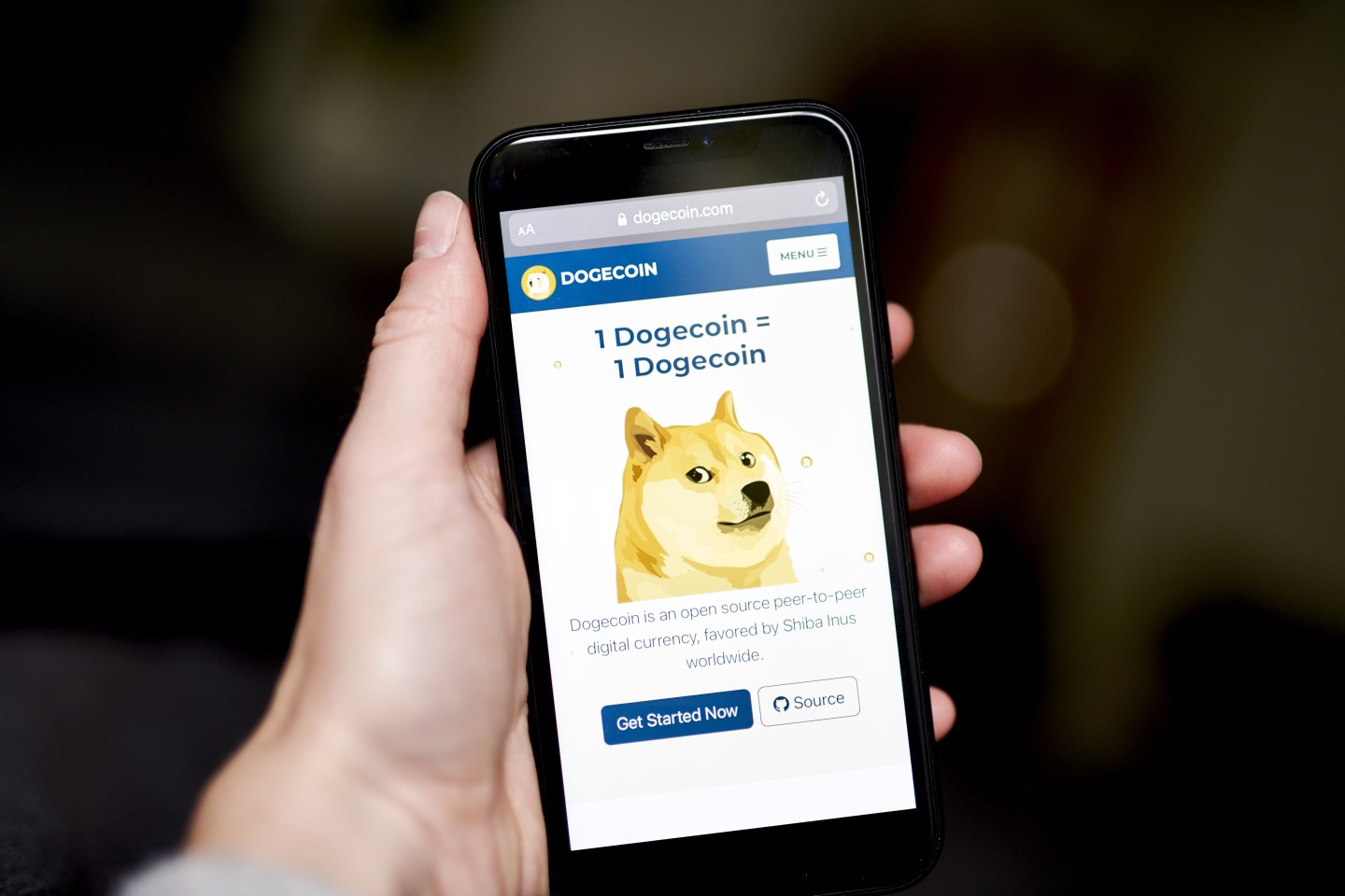 No joke: Dogecoin soars after Musk polls his followers whether Tesla should accept it
