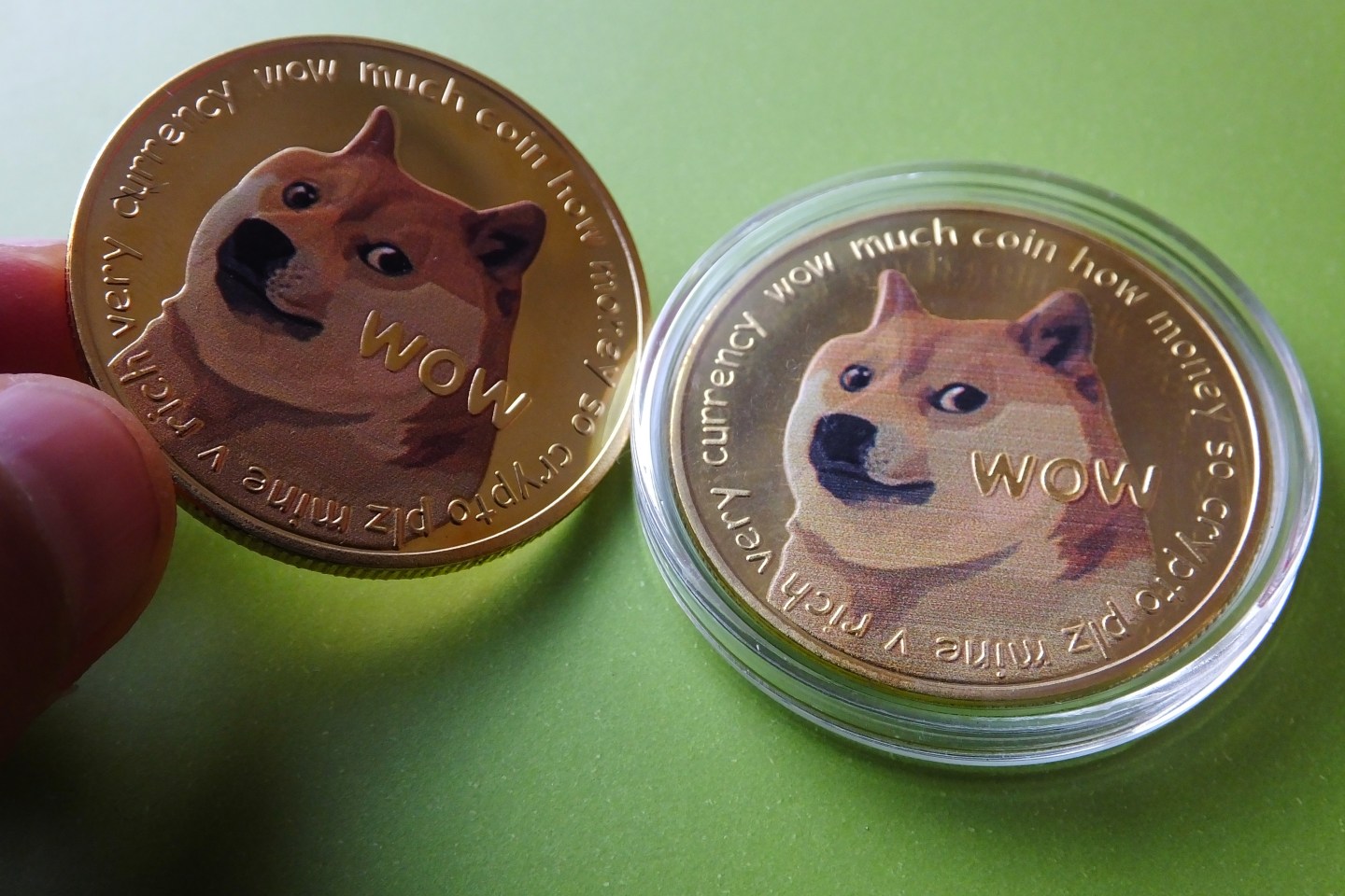 Global stocks rebound—but nothing can beat the surge in Dogecoin
