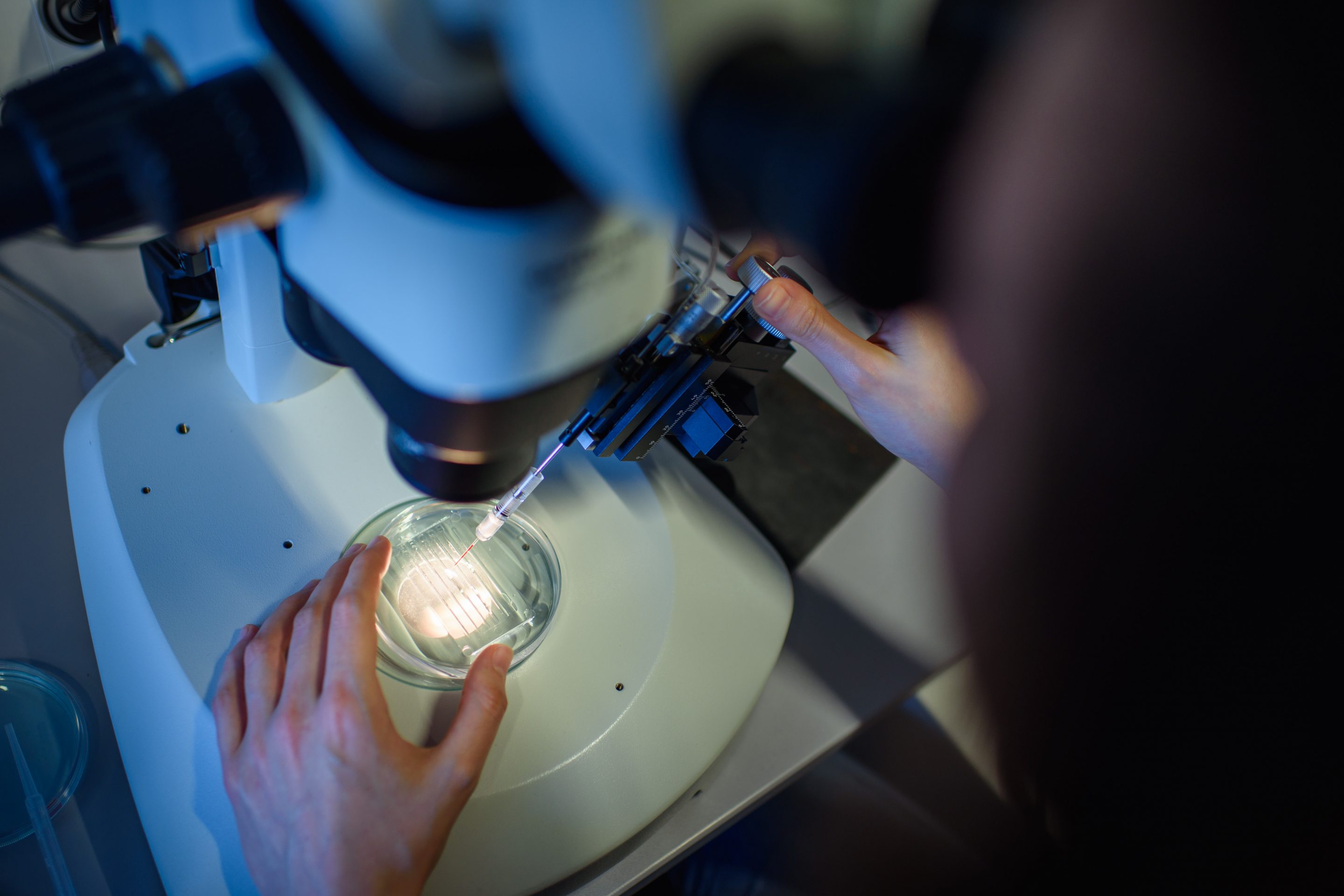 UC Berkeley will be auctioning research leading to breakthroughs like CRISPR as an NFT.