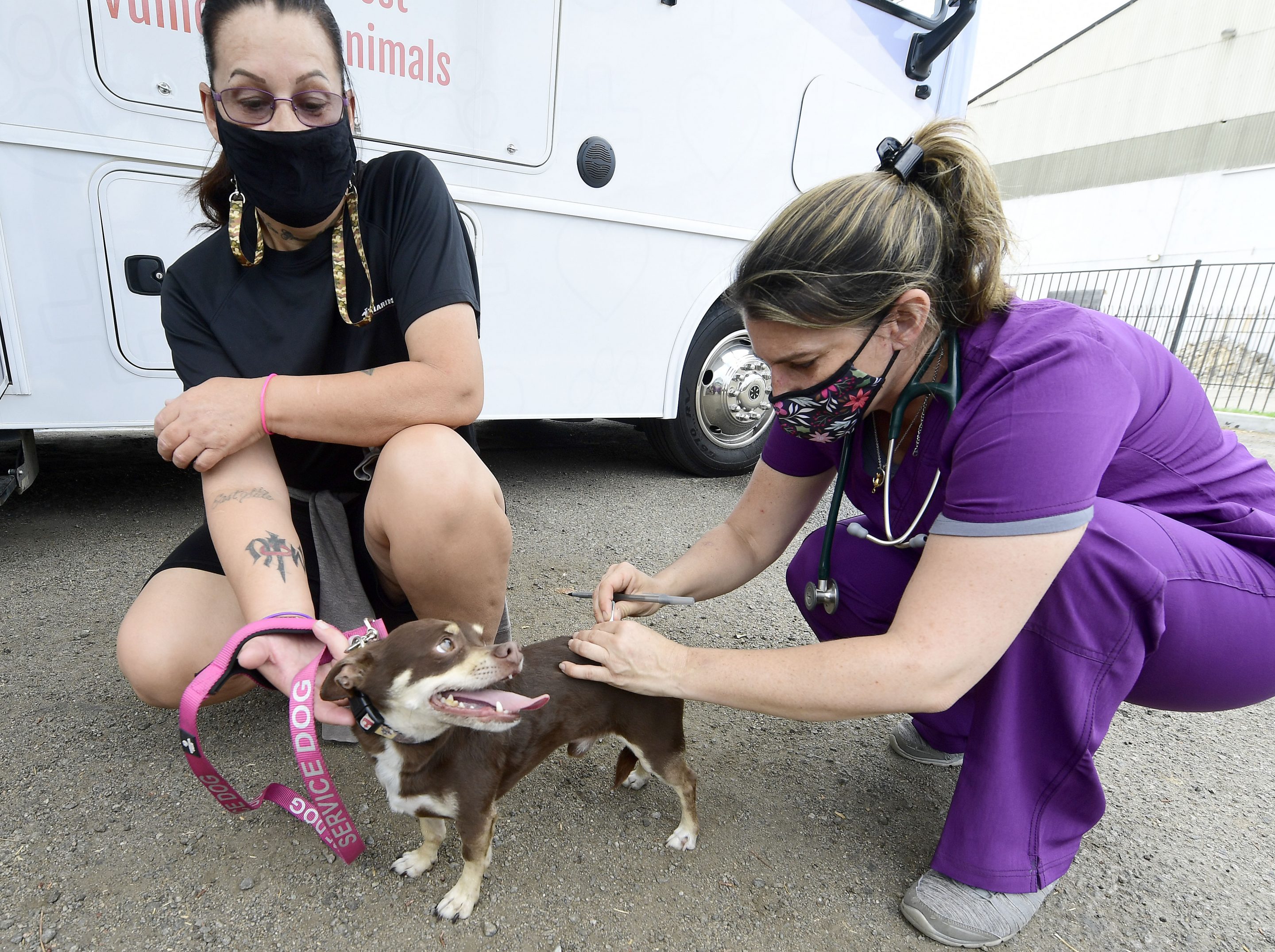 Dr. Gabrielle Rosa (right) works with a Chiweenie mixed-breed dog and his owner at the Riverside Access Center in Riverside, Calif. “The challenges facing the veterinary profession are complex,” writes Zoetis CEO Kristin Peck, “but the bottom line is simple: To take care of our animal family members, we must take care of the veterinary profession.”