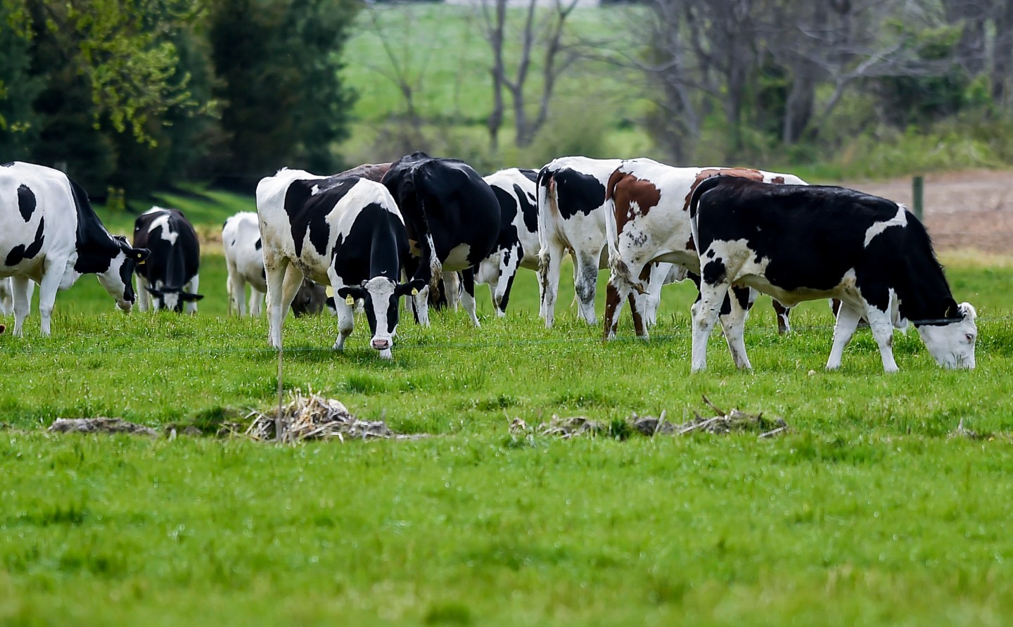 We’re eating more meat than ever, and it’s a big problem for climate change