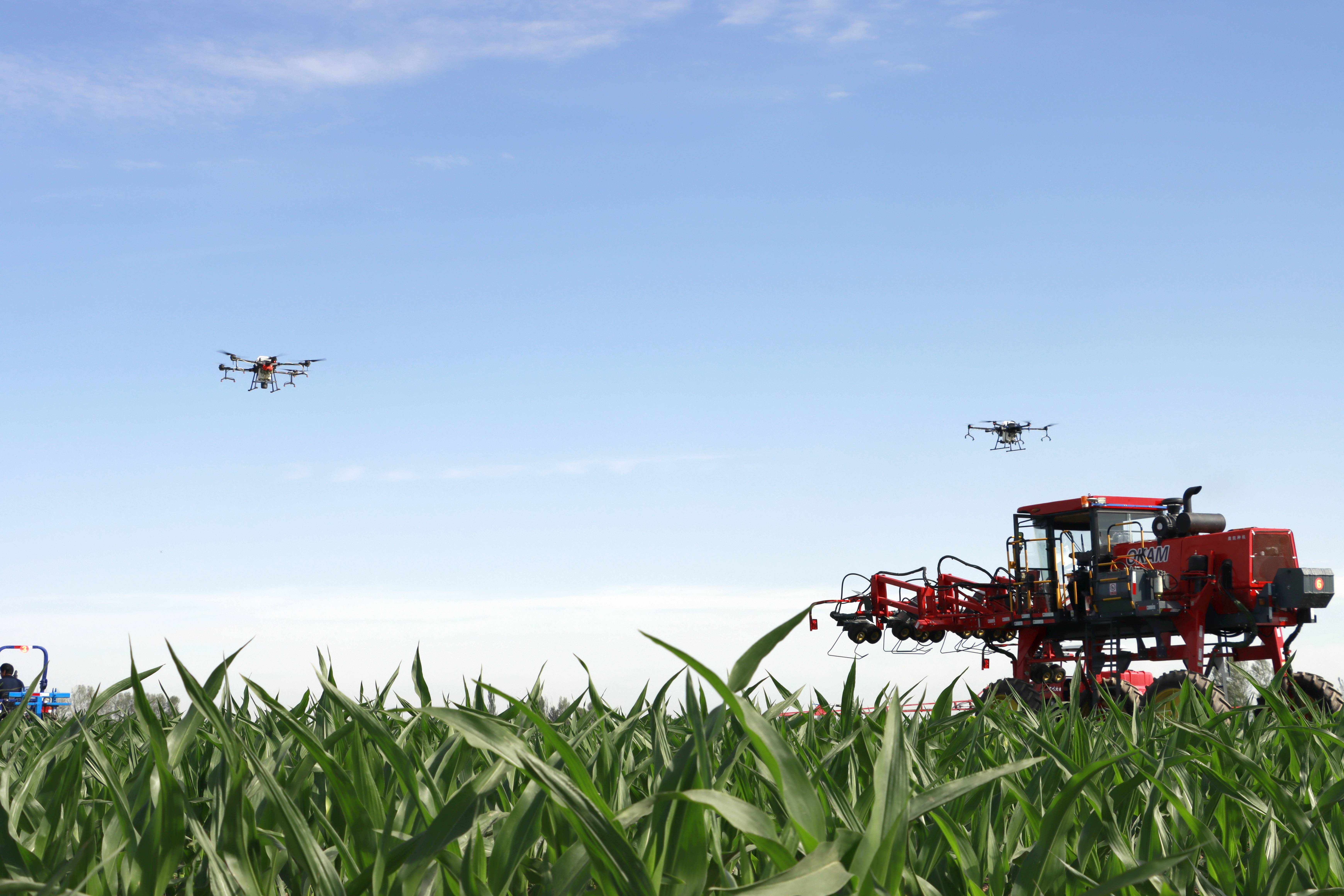 Farmers operate drones and field sprayers to spray pesticide in a corn field China's Gansu Province. Corn prices have risen 55.5% in the last 12 months.