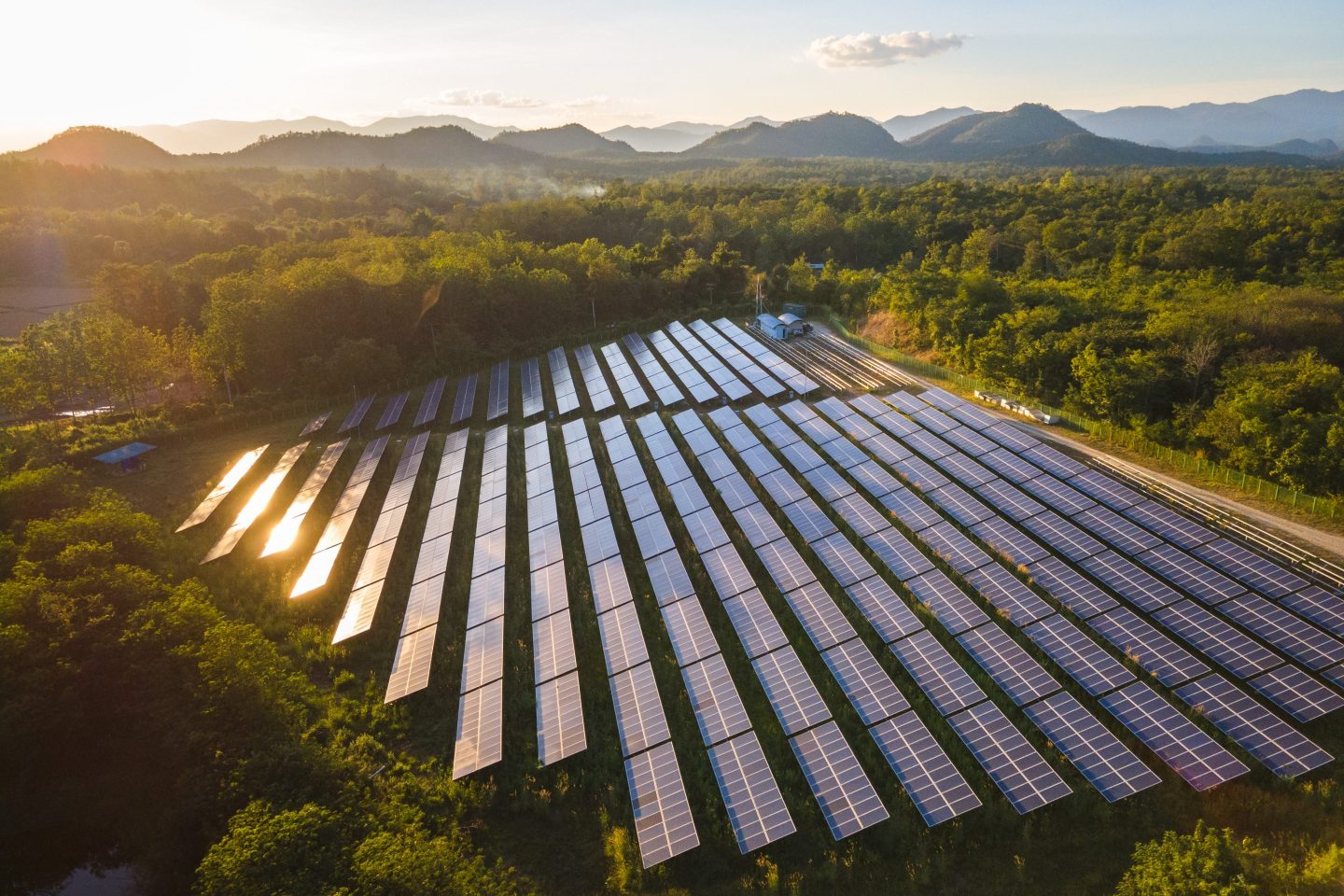 TPG and Brookfield add billions to the climate-tech coffers