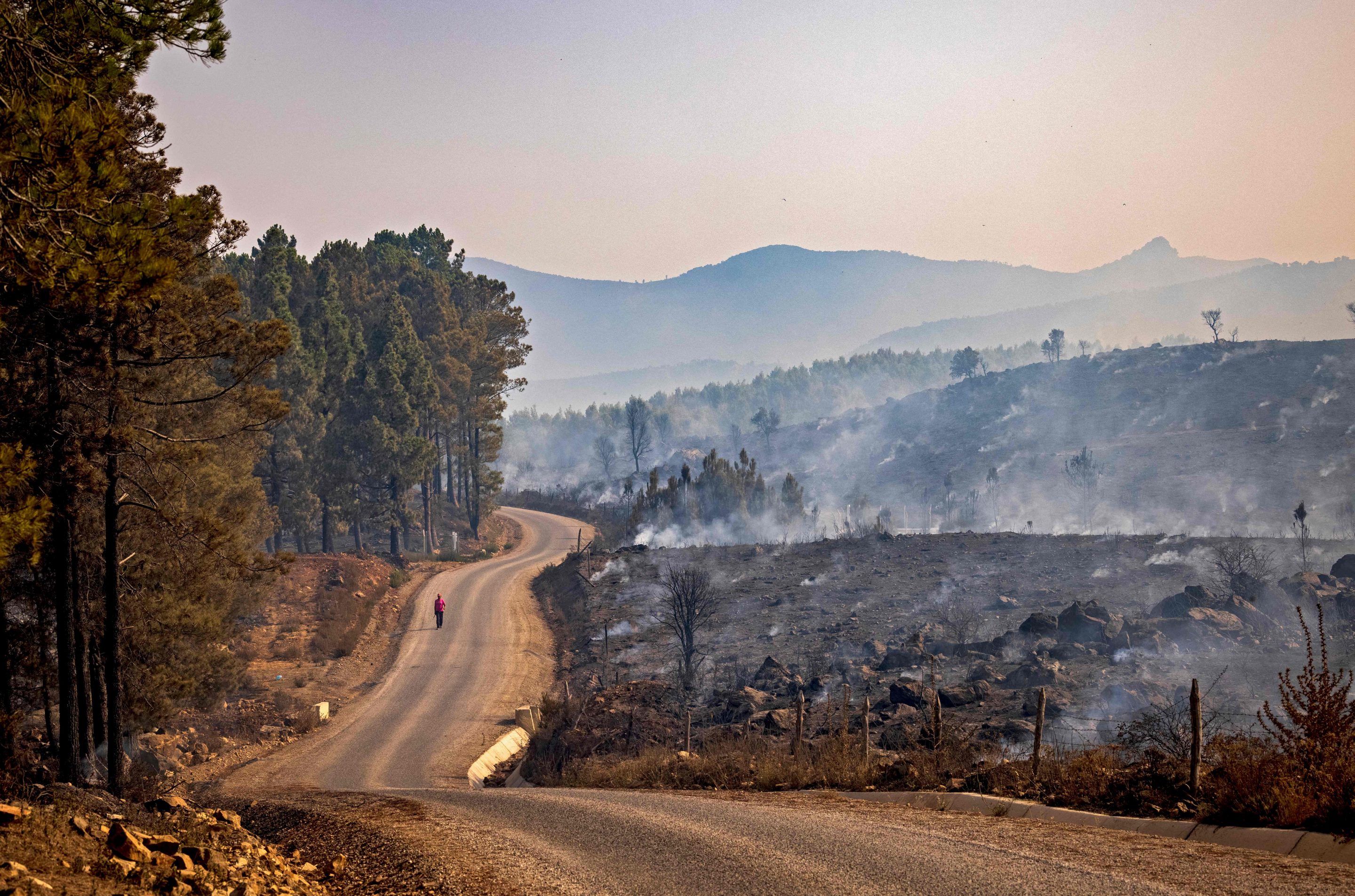 A forest charred by wildfire in the Chefchaouen region of northern Morocco on Aug. 16, 2021.