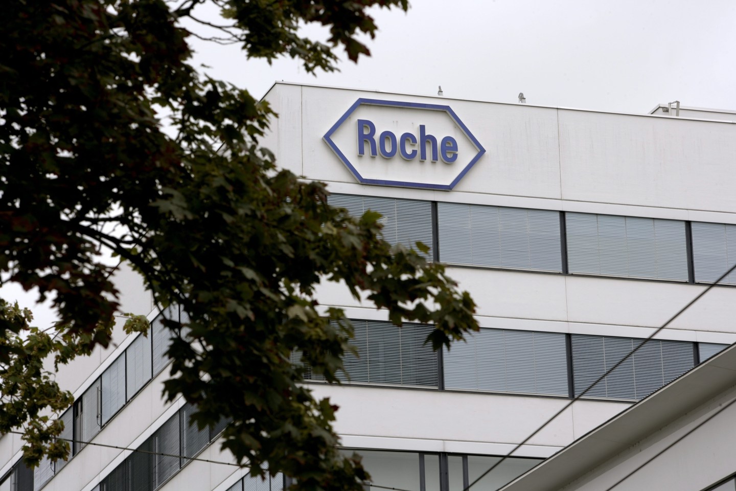 AC Immune shares surge on Alzheimer’s drug trial results