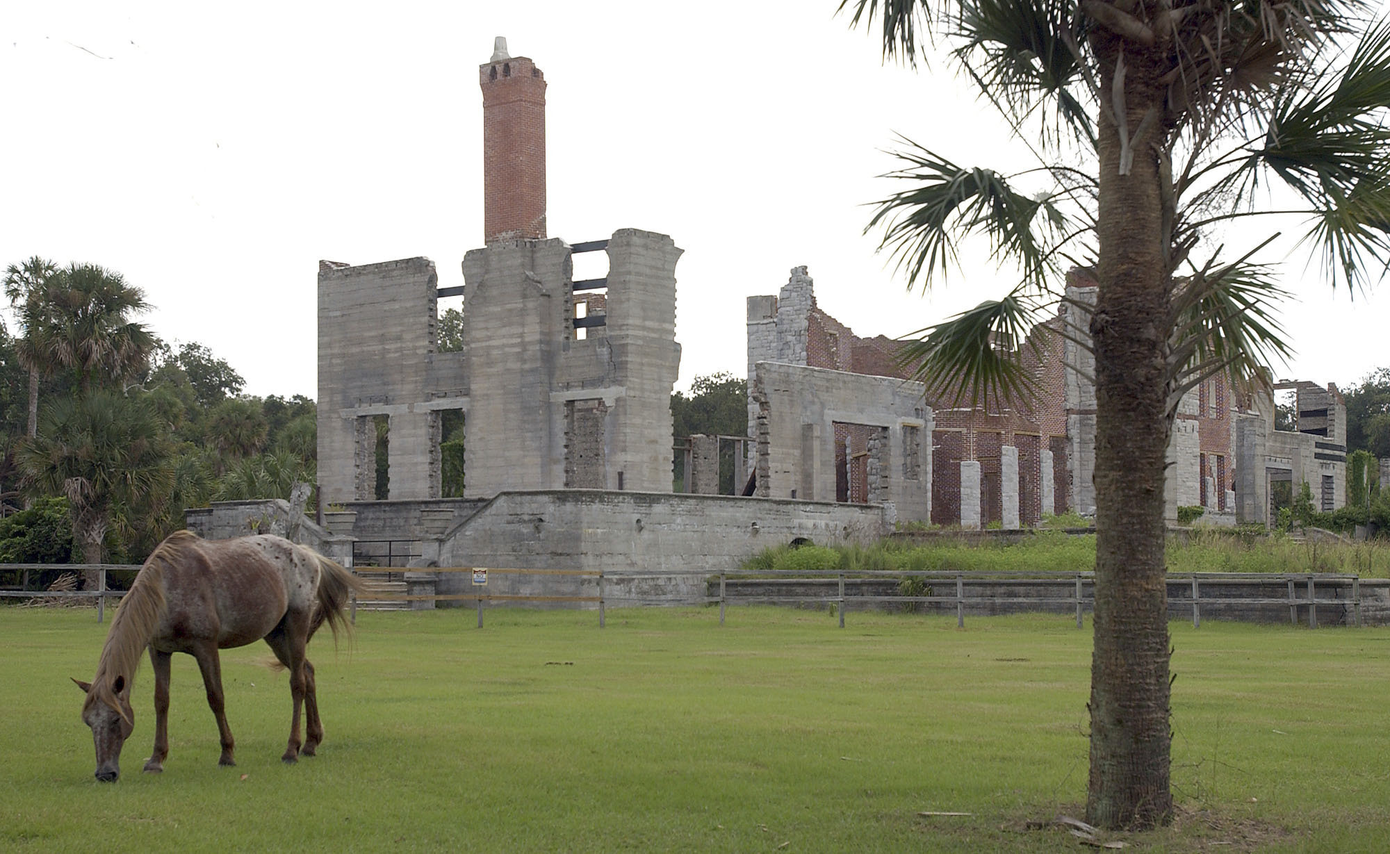 A wild horse grazes next to the ruins of the Dungeness mansion in the south end of Cumberland Island in Camden County, Georgia National Seashore. A federal agency is once again delaying a final decision on whether to permit construction of a launchpad for commercial rockets on the Georgia coast.
