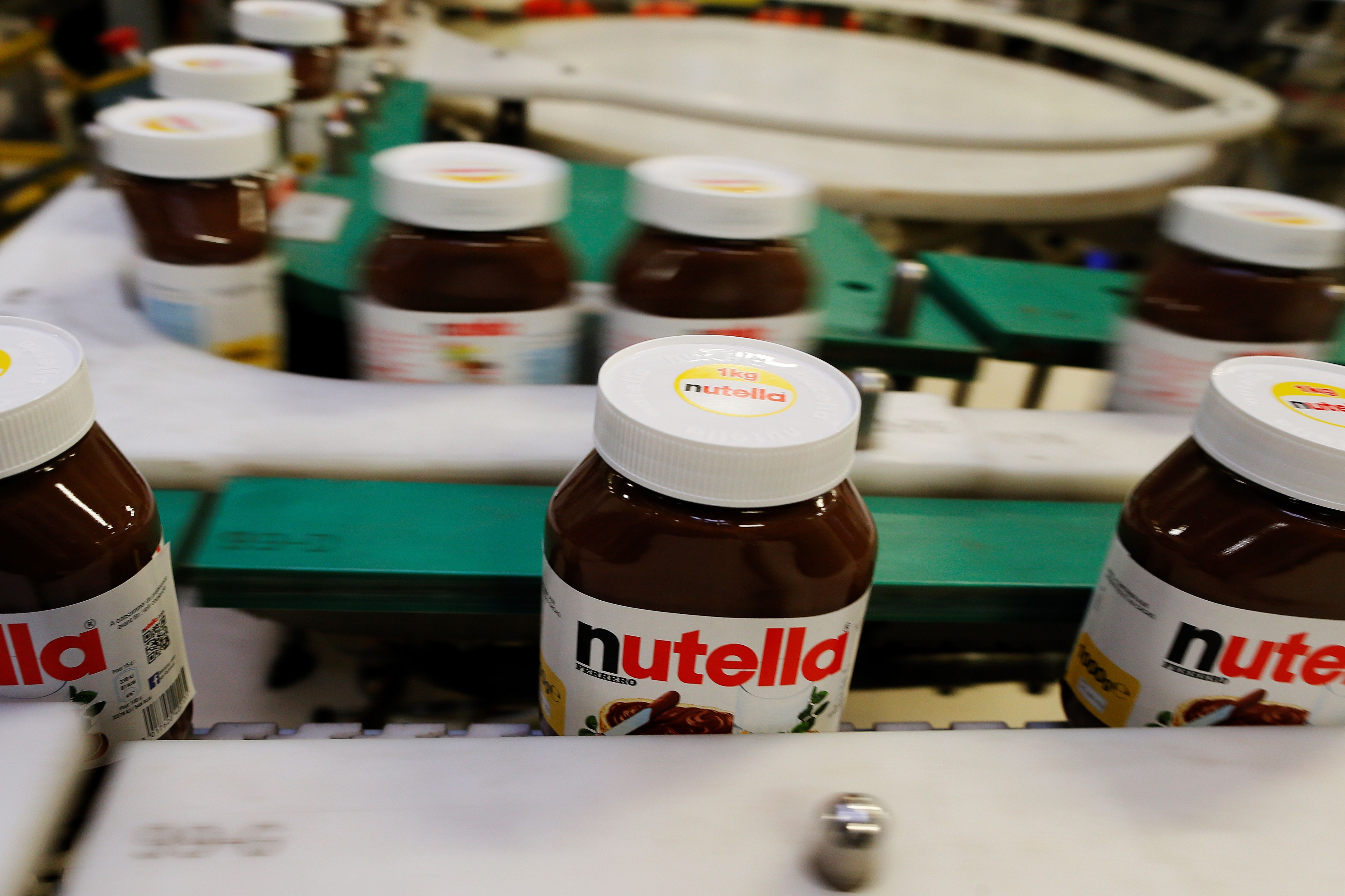 Nutella, the hazelnut and chocolate spread, is a big seller in 160 countries and growing. Despite that, a plan to ramp up production of the vital hazelnut has become controversial in Italy.