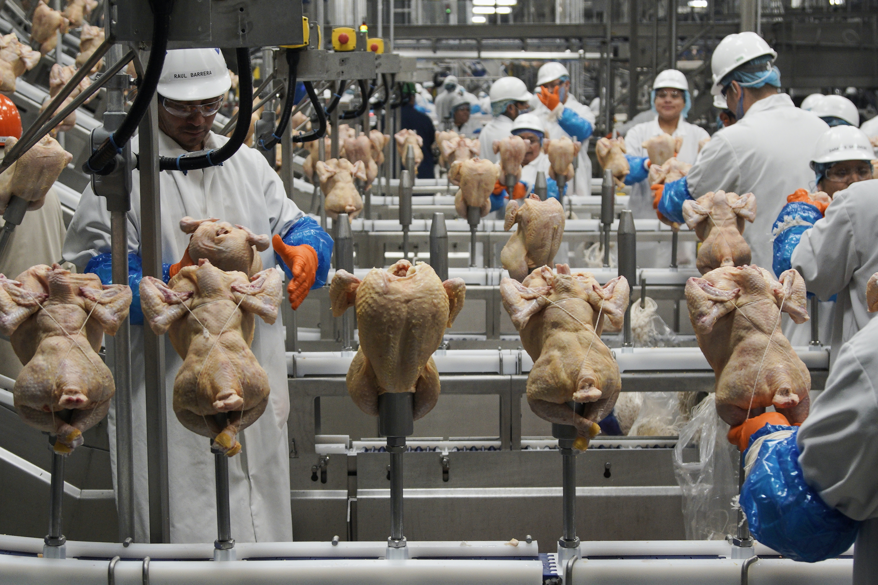 Workers process chickens at the Lincoln Premium Poultry plant, Costco Wholesale's dedicated poultry supplier, in Fremont, Neb.