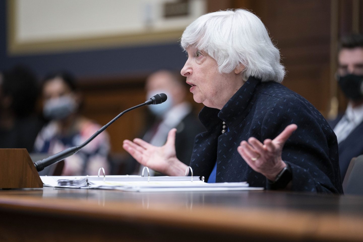 Treasury Secretary Janet Yellen