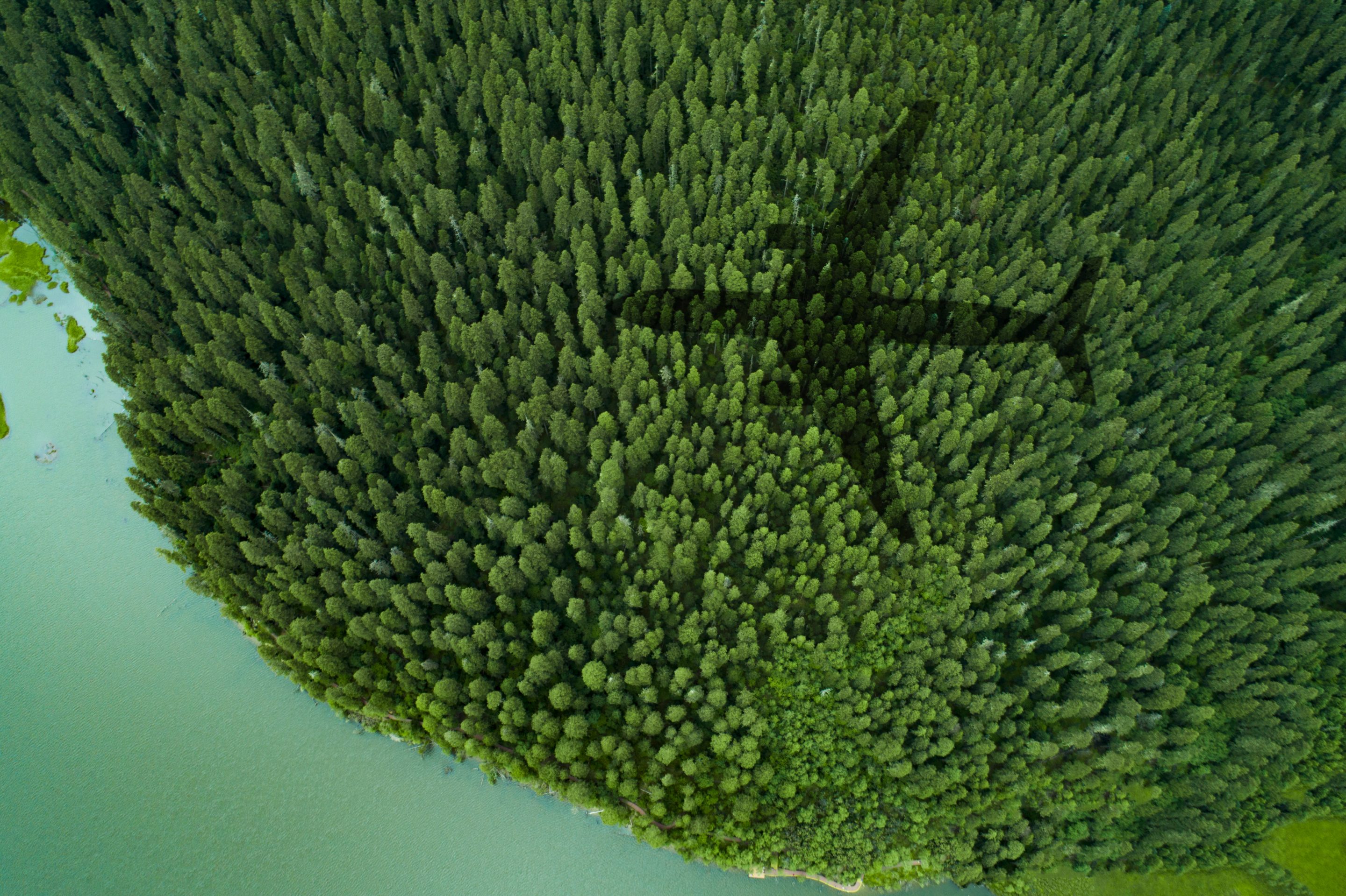 A two-week luxury holiday could require almost 400 trees to be planted to offset your carbon footprint, a new report says.