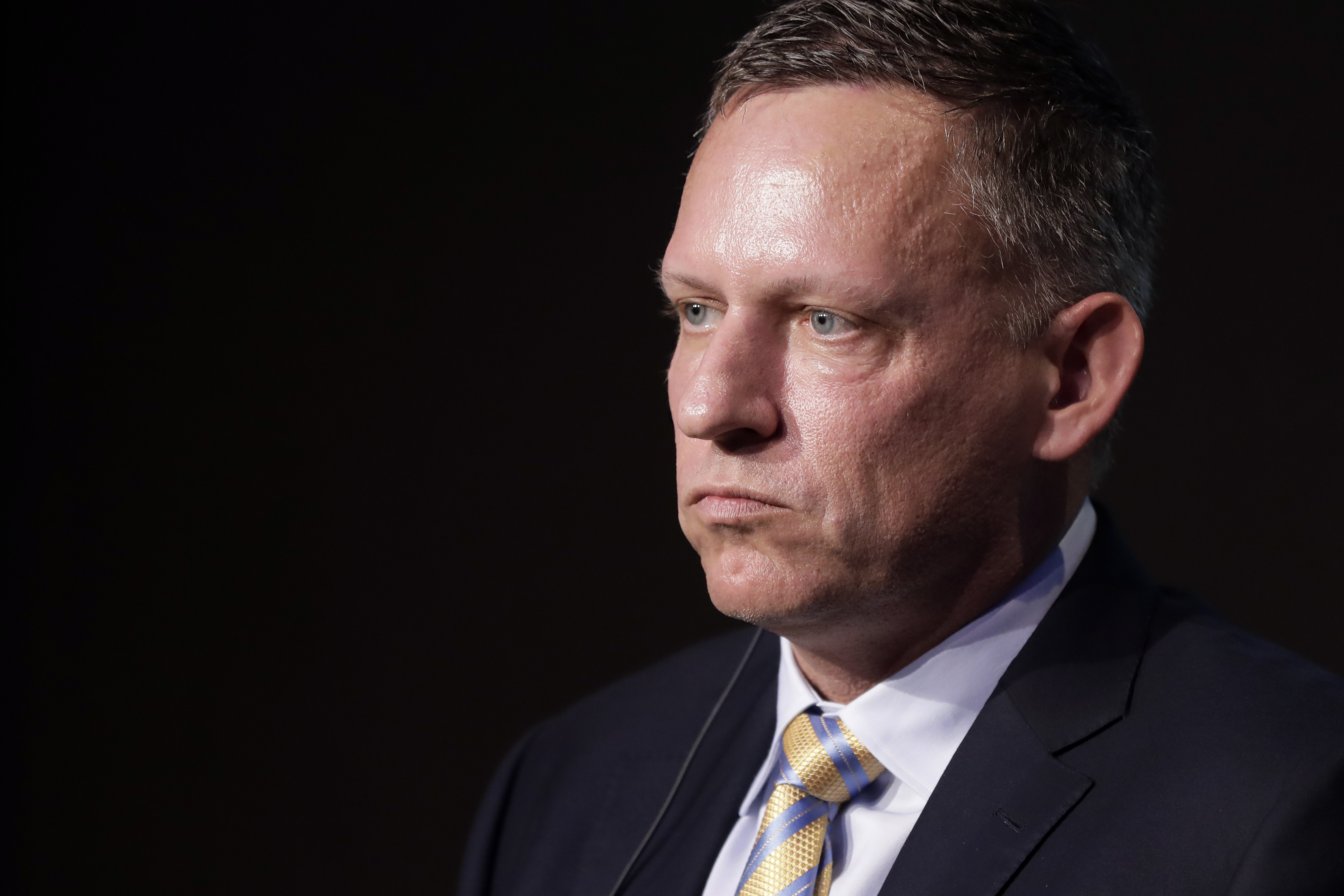 Thiel said he regretted not buying more of the cryptocurrency earlier.