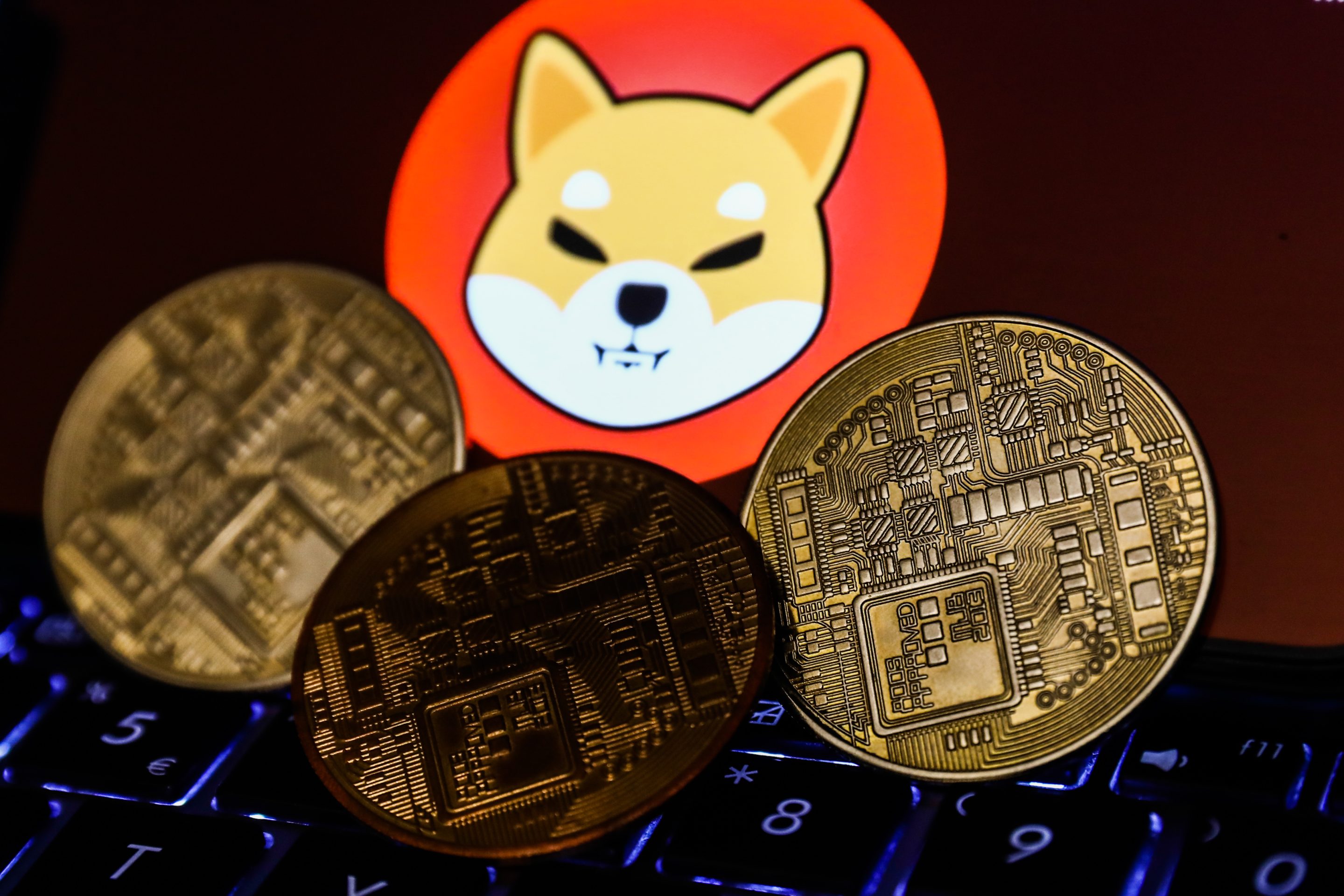About 10 "whale" wallets own 72% of all Shiba Inu coins. The biggest holder owns 41%.