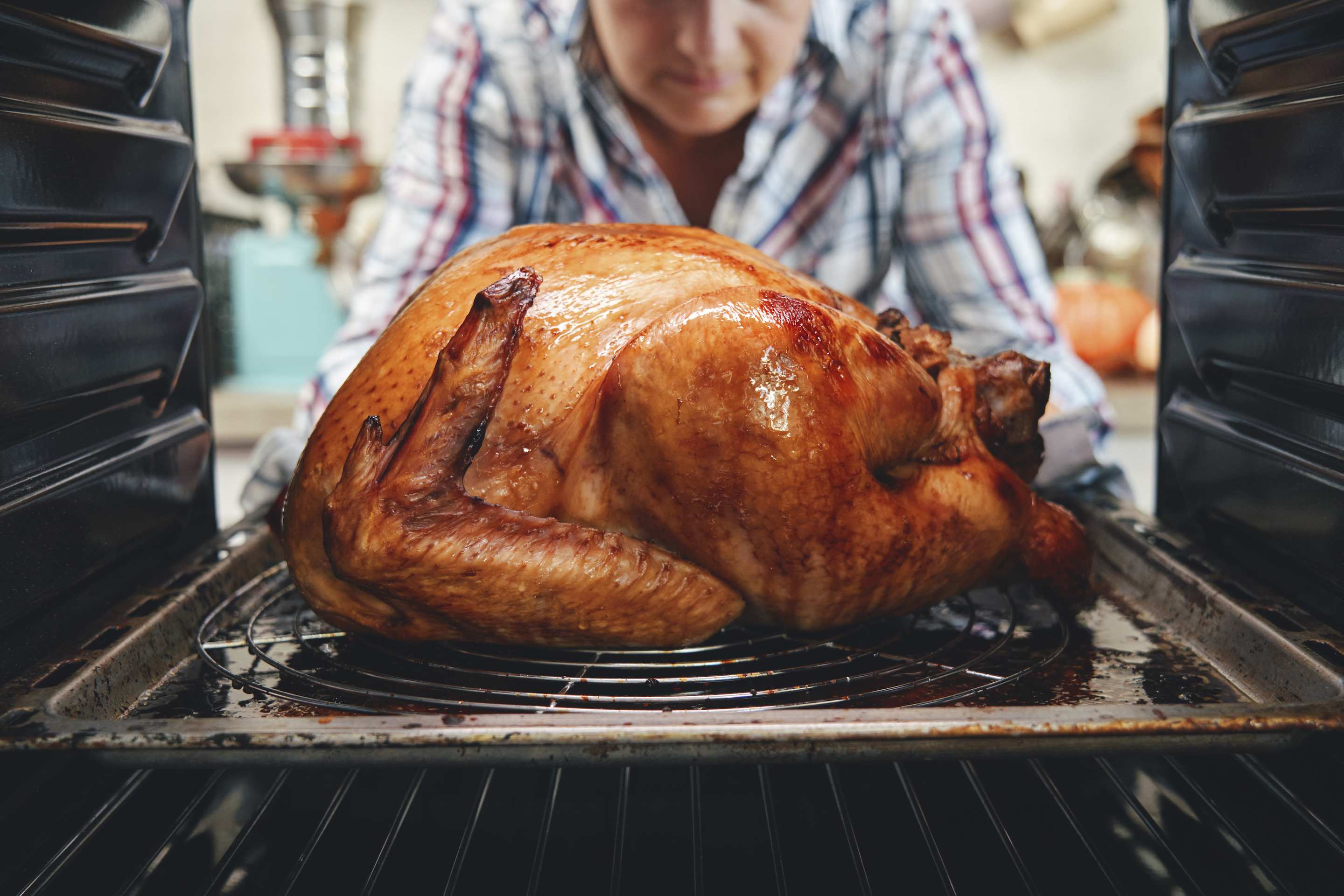 Thanksgiving dinner turkey alternative