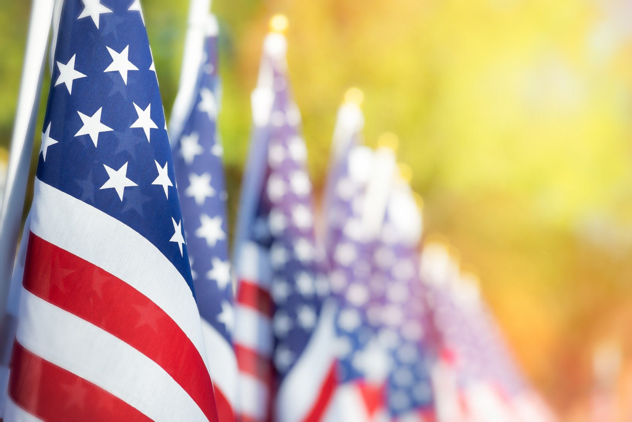 Veterans Day is observed annually on Nov. 11.