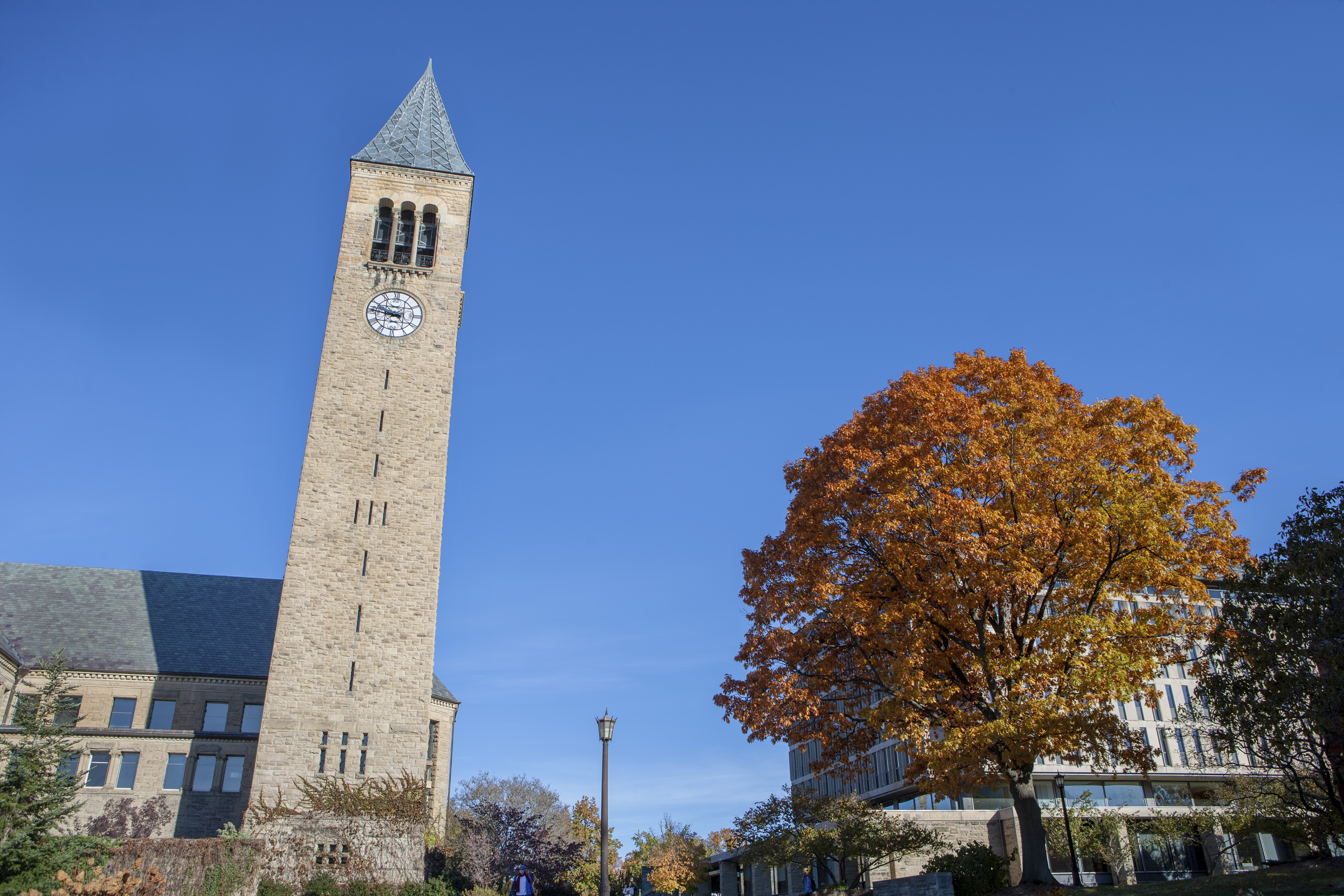 Cornell University. 