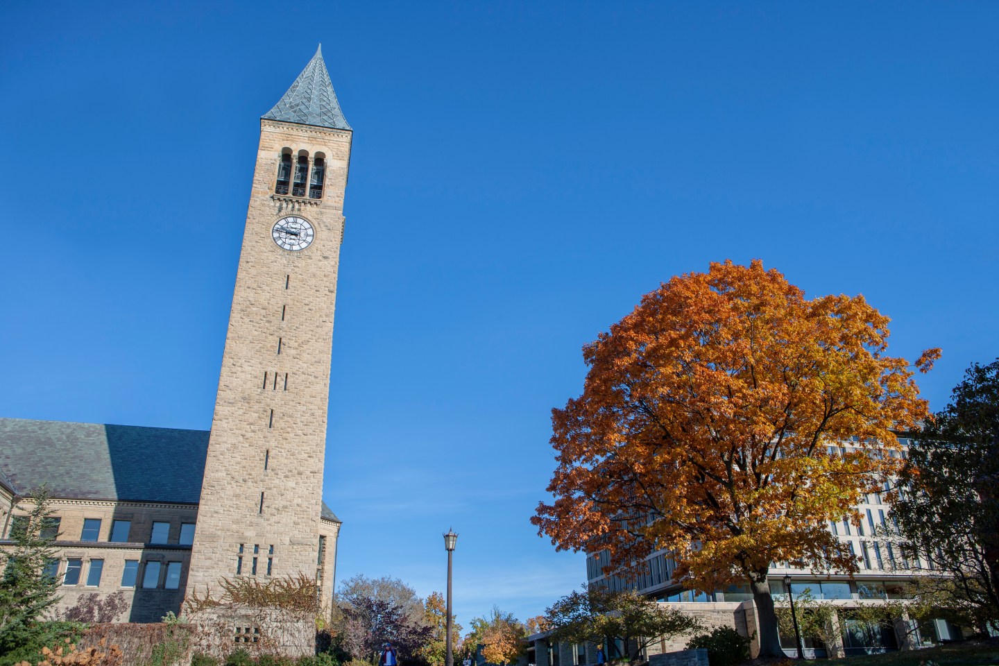 Cornell imposes lockdown after Omicron is detected on campus