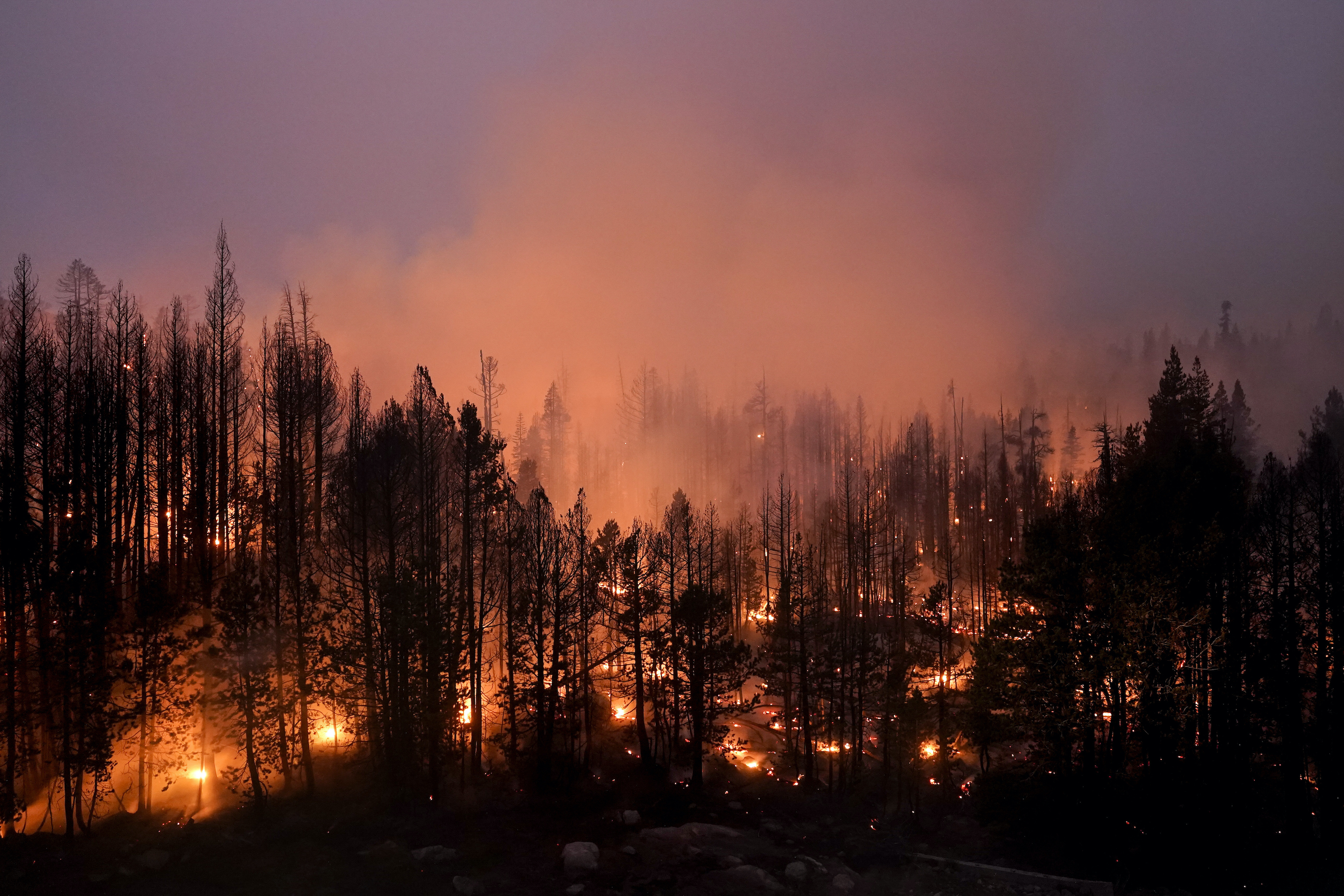 Western Wildfires