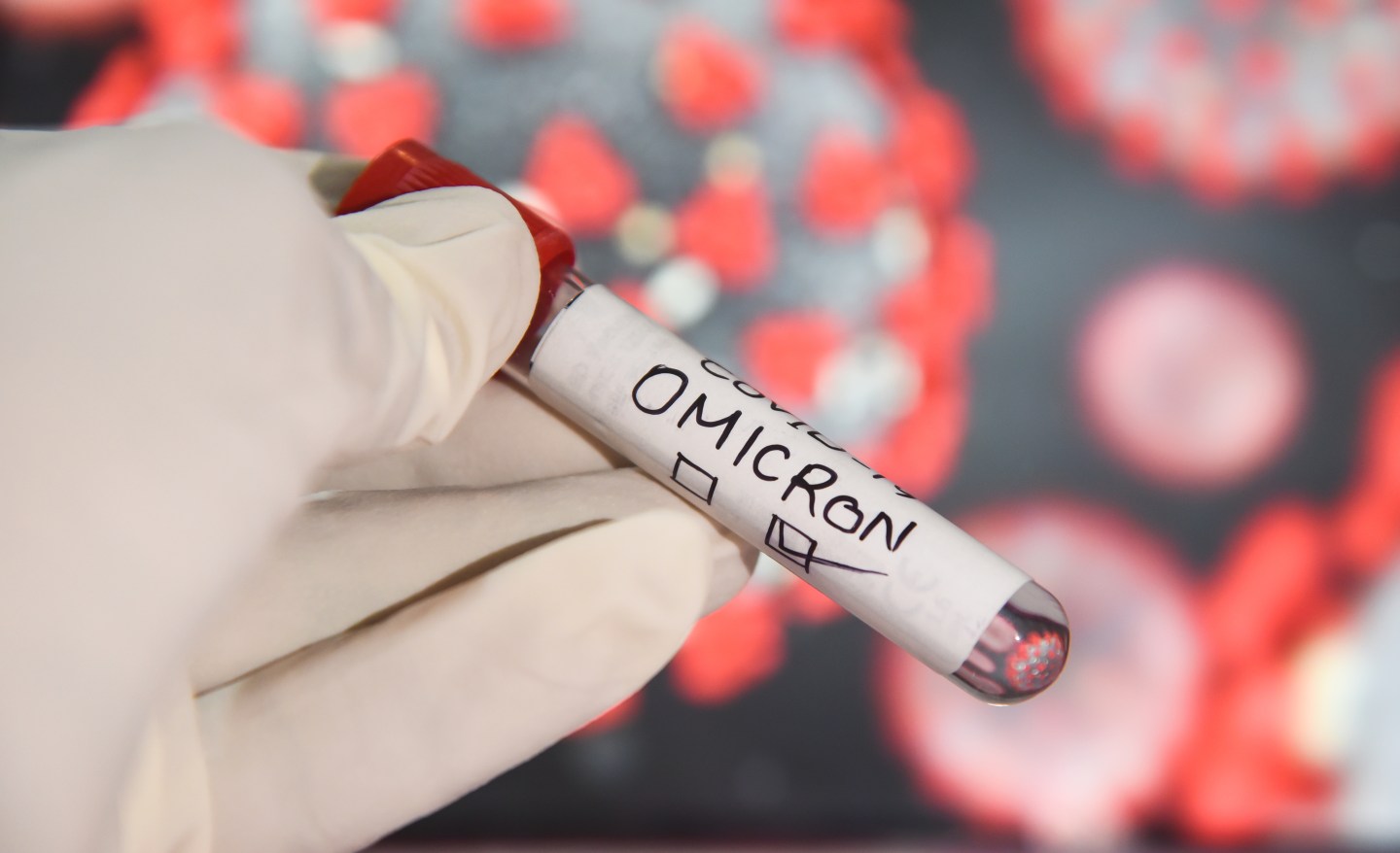 In this photo illustration, a health worker wearing gloves holding a test sample tubes labeled 'COVID-19 Omicron variant' in front of a display.