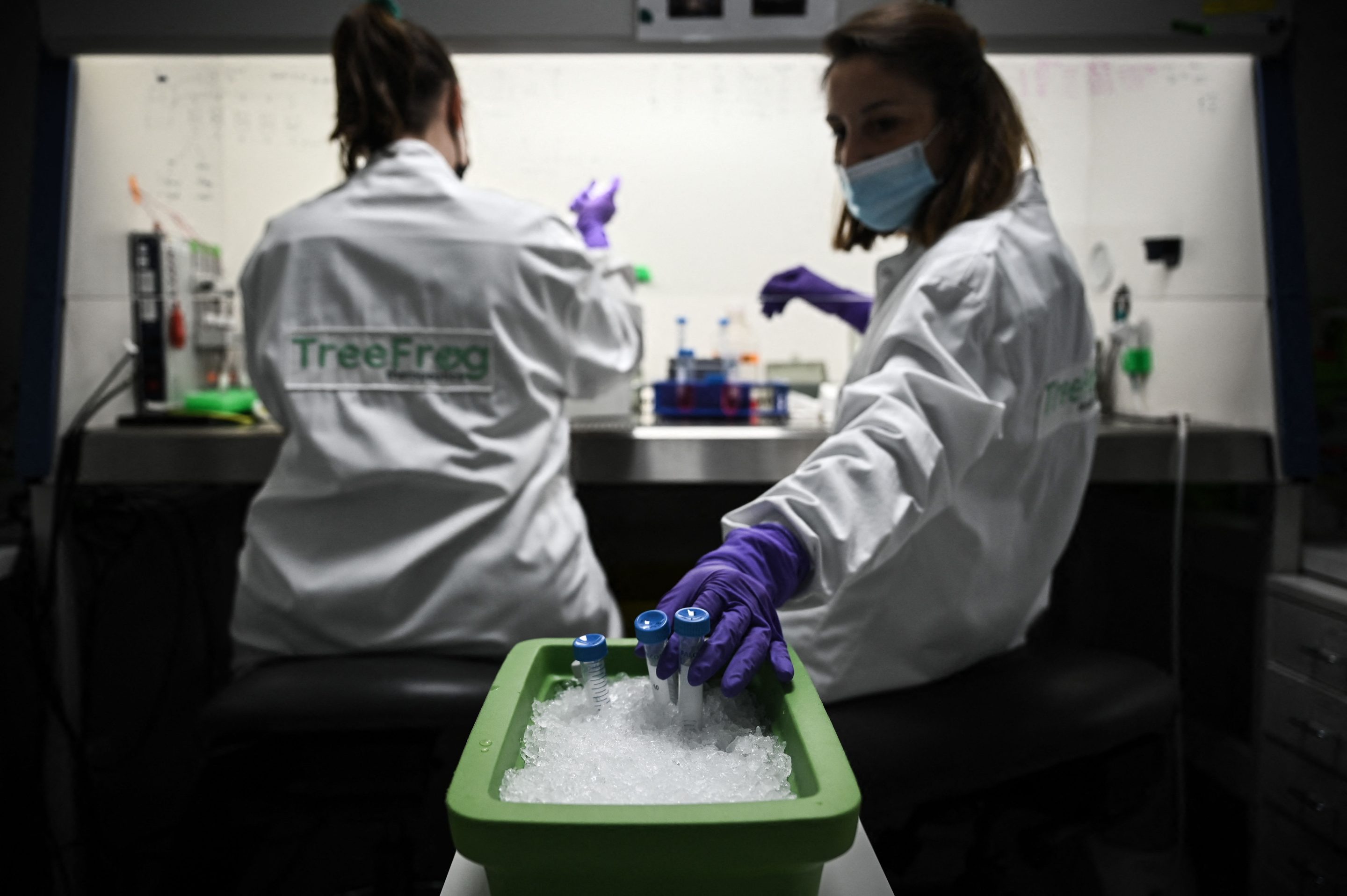 female scientists in a lab