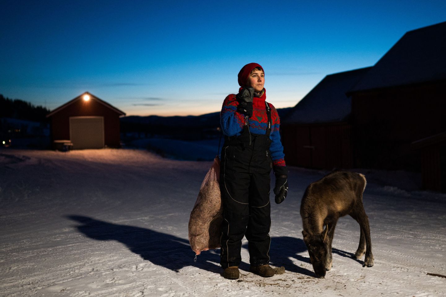 Norway’s green energy drive isn’t going as planned. The issue? Reindeer