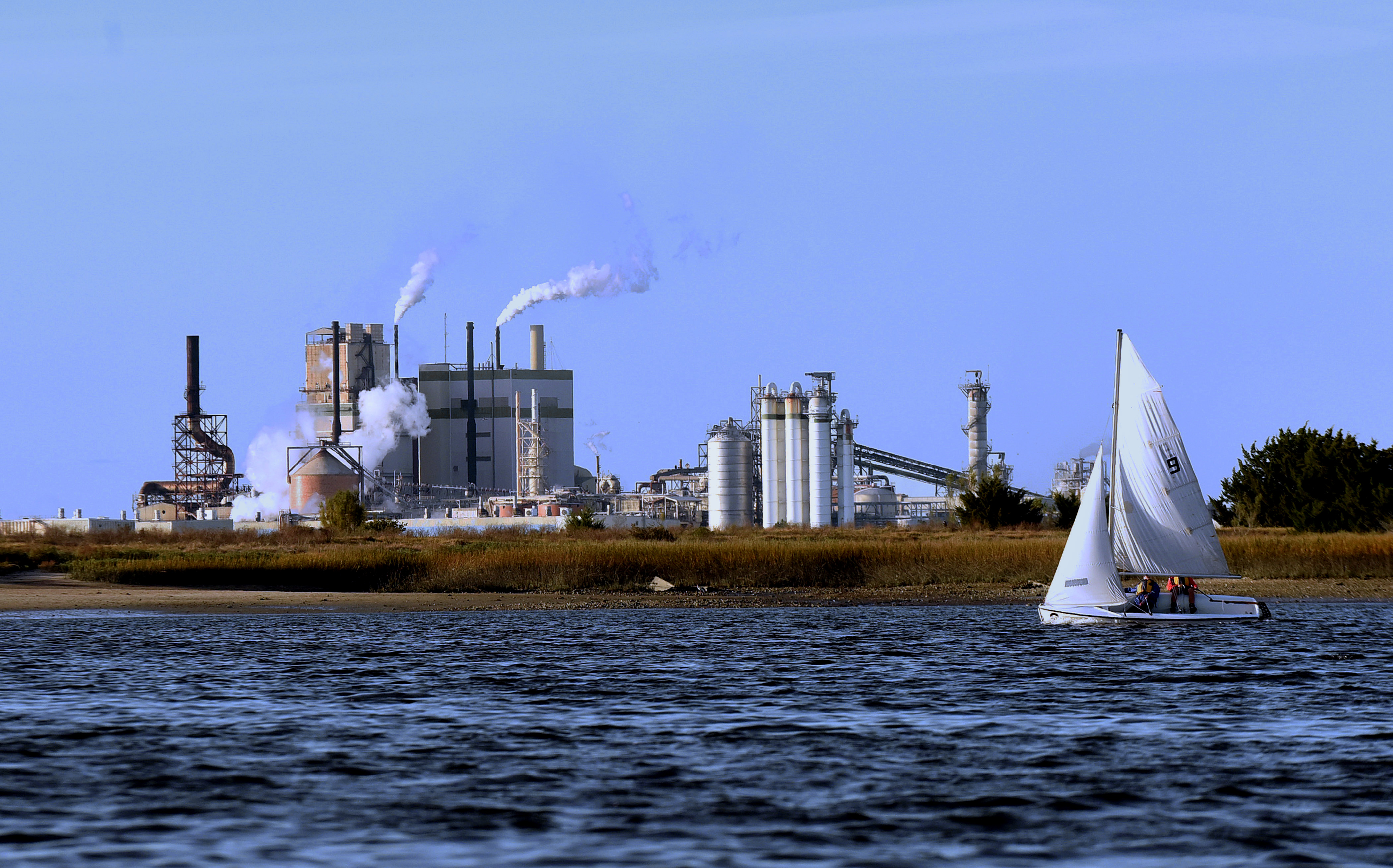 Georgia-Pacific pulp and paper mill on December 14, 2020 in Brunswick, Georgia.