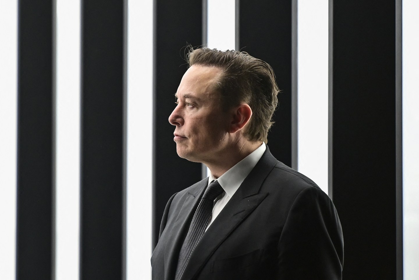 ‘Is Twitter dying?’ Elon Musk questions social media platform he bought a stake in